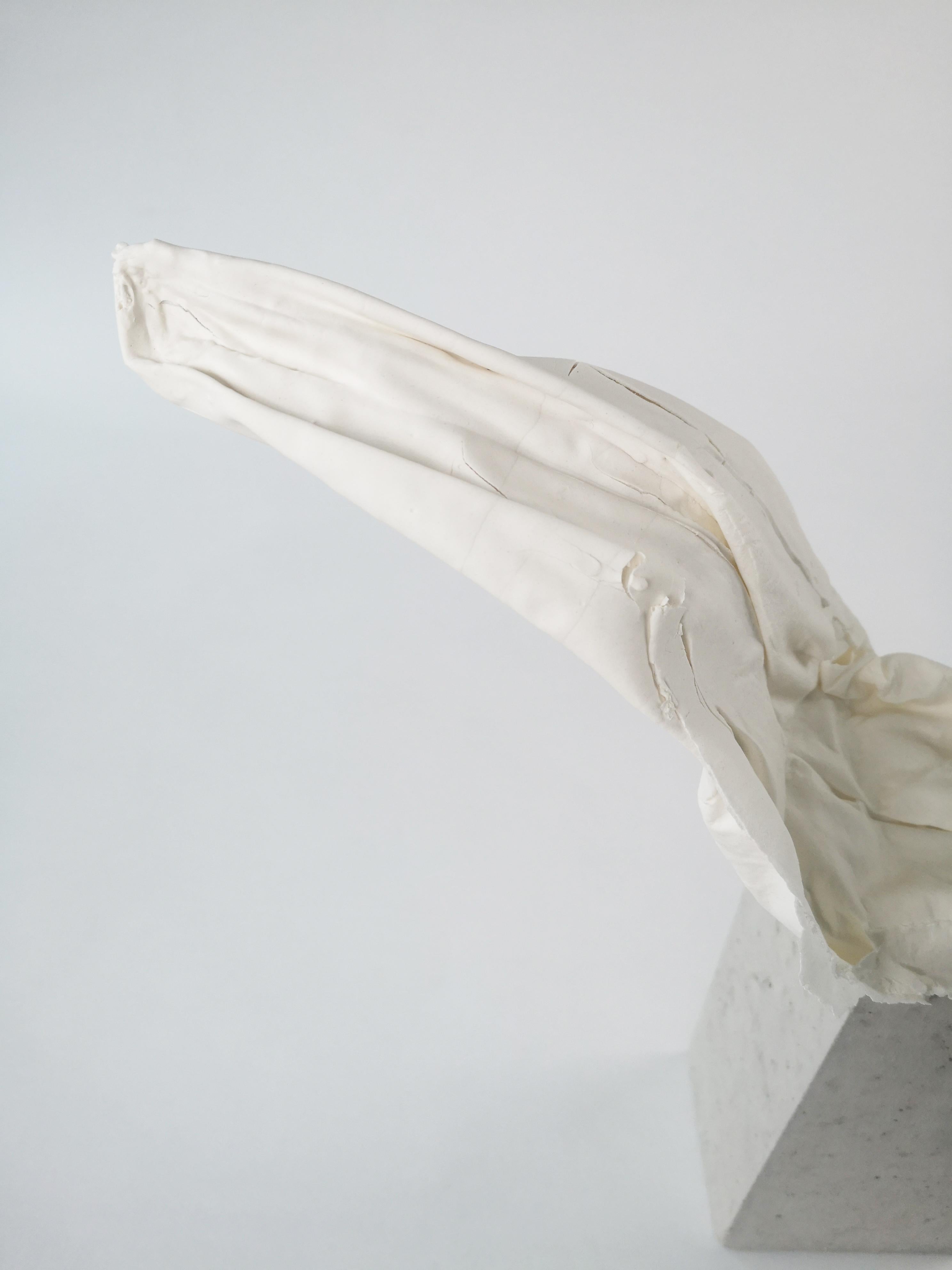 French Fold I Sculpture by Dora Stanczel For Sale