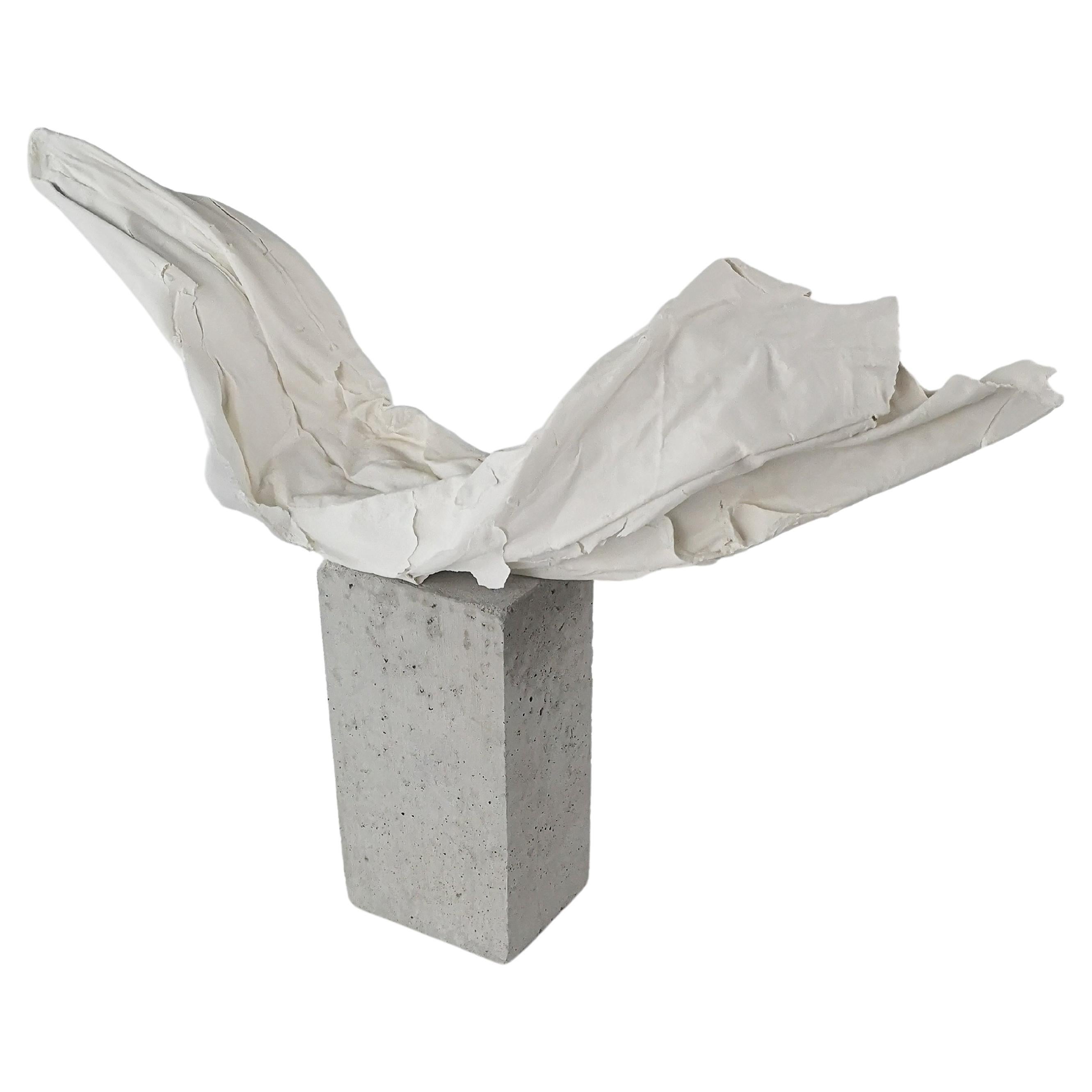 Fold I Sculpture by Dora Stanczel For Sale