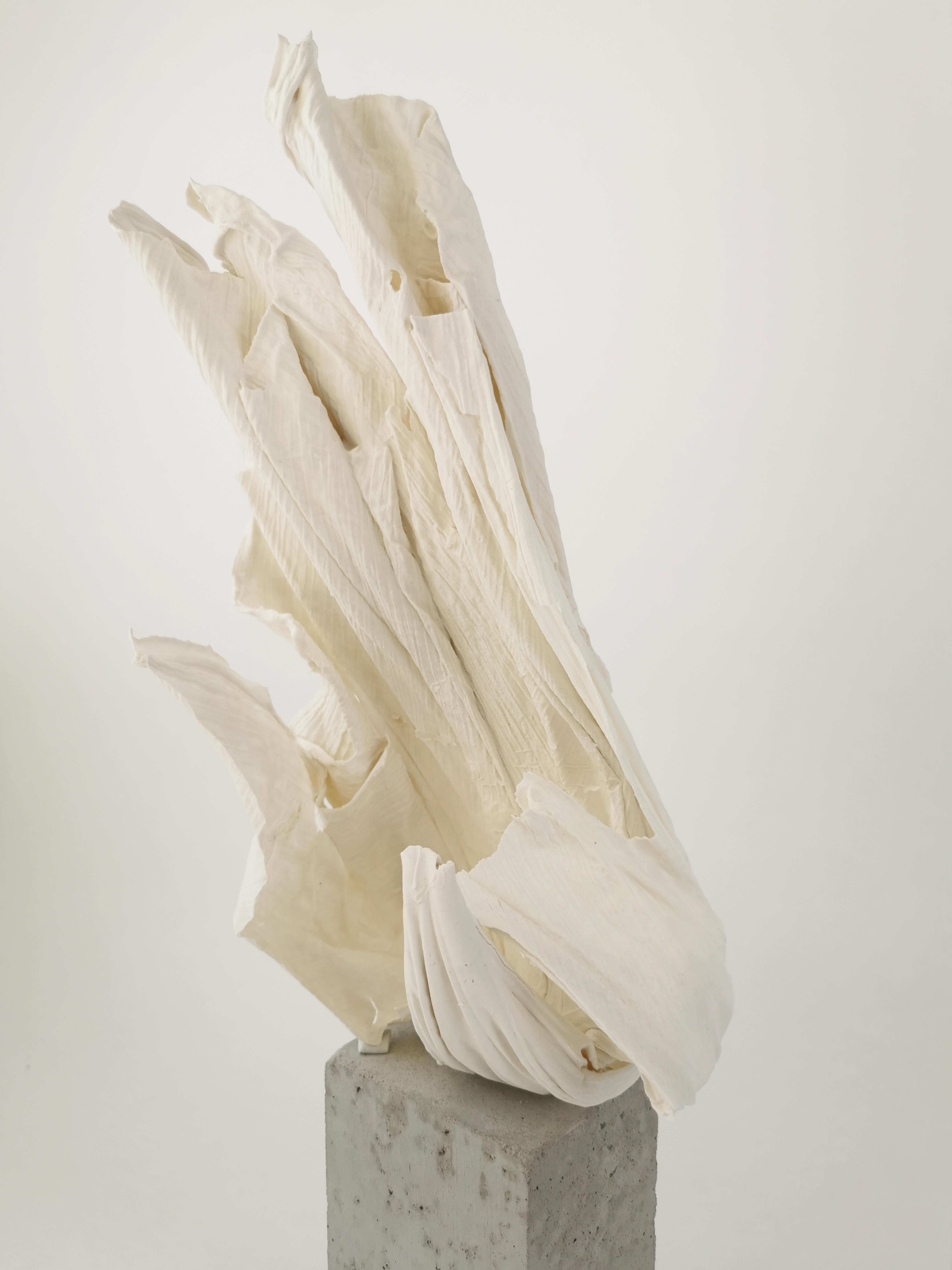 Fold II Sculpture by Dora Stanczel For Sale 8