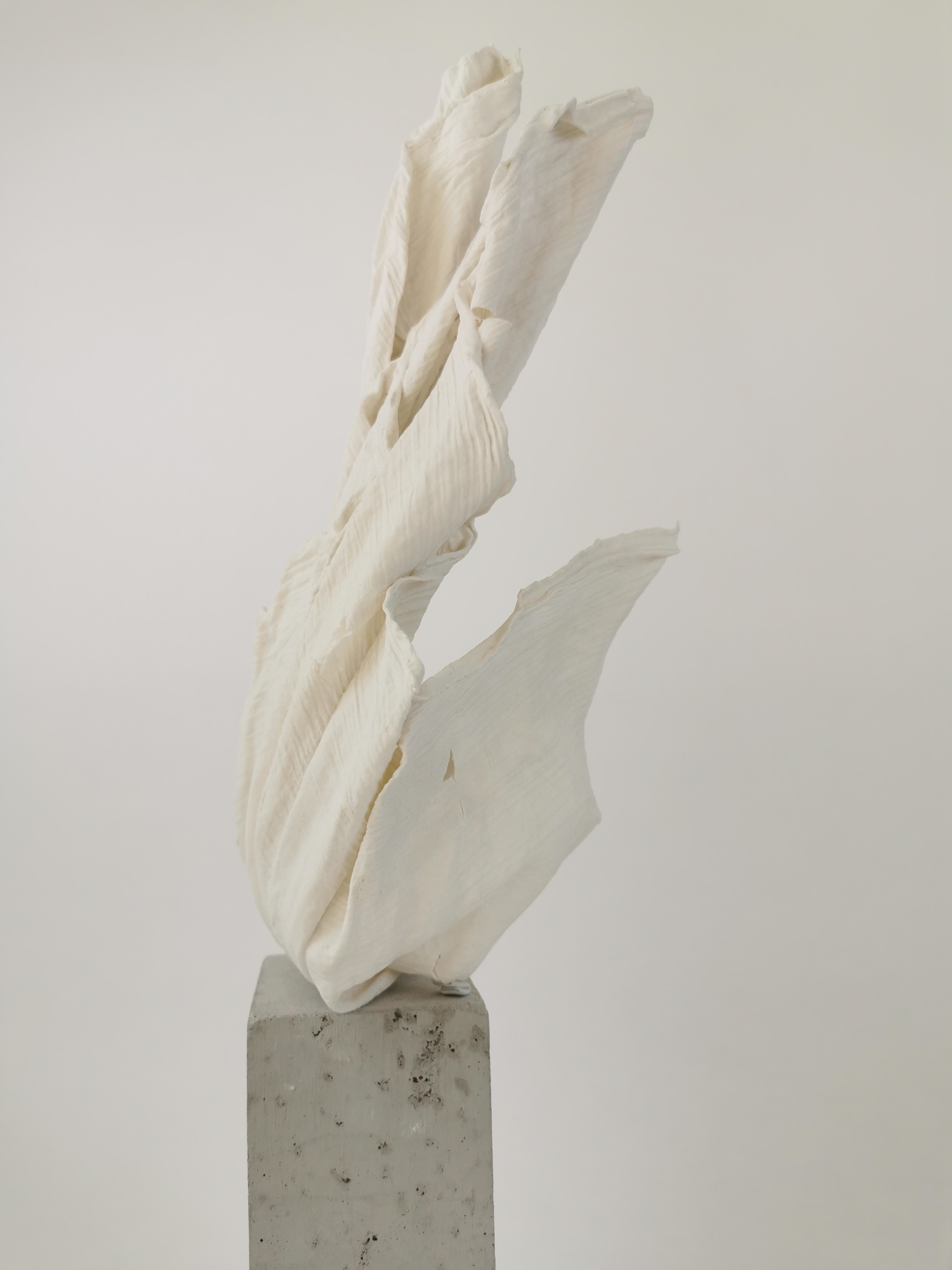 Fold II Sculpture by Dora Stanczel For Sale 11