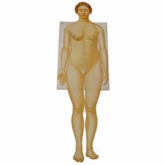 Folleto anatómico plegable que representa la anatomía femenina ca.1900s