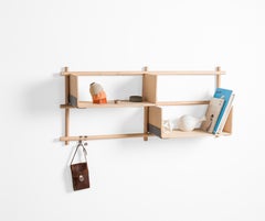 Foldin Shelf Four Holes Two Shelves with Two Hooks