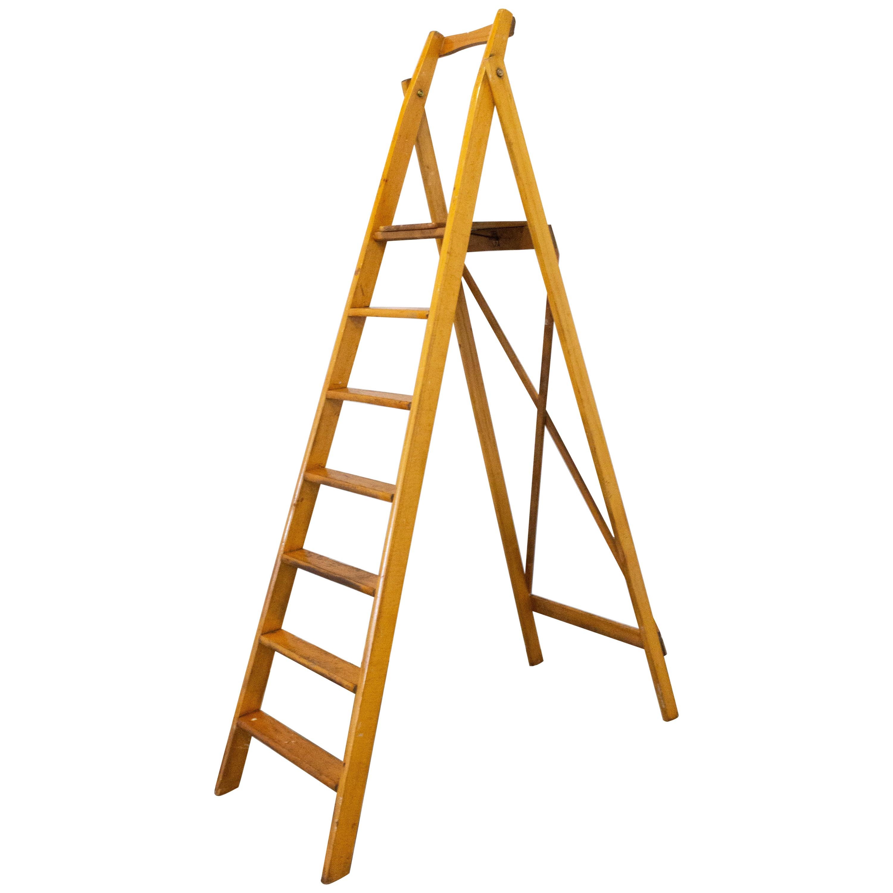 Folding Library Steps or Workshop Ladder Beech, 1950