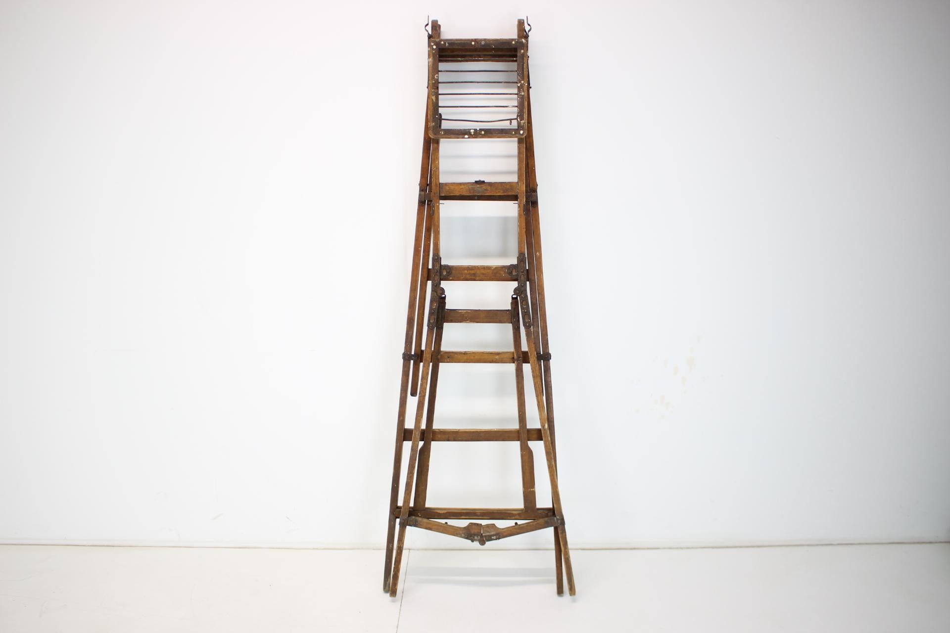 Folding Steps-Ladder for the Library, Czechoslovakia, 1920s For Sale 5