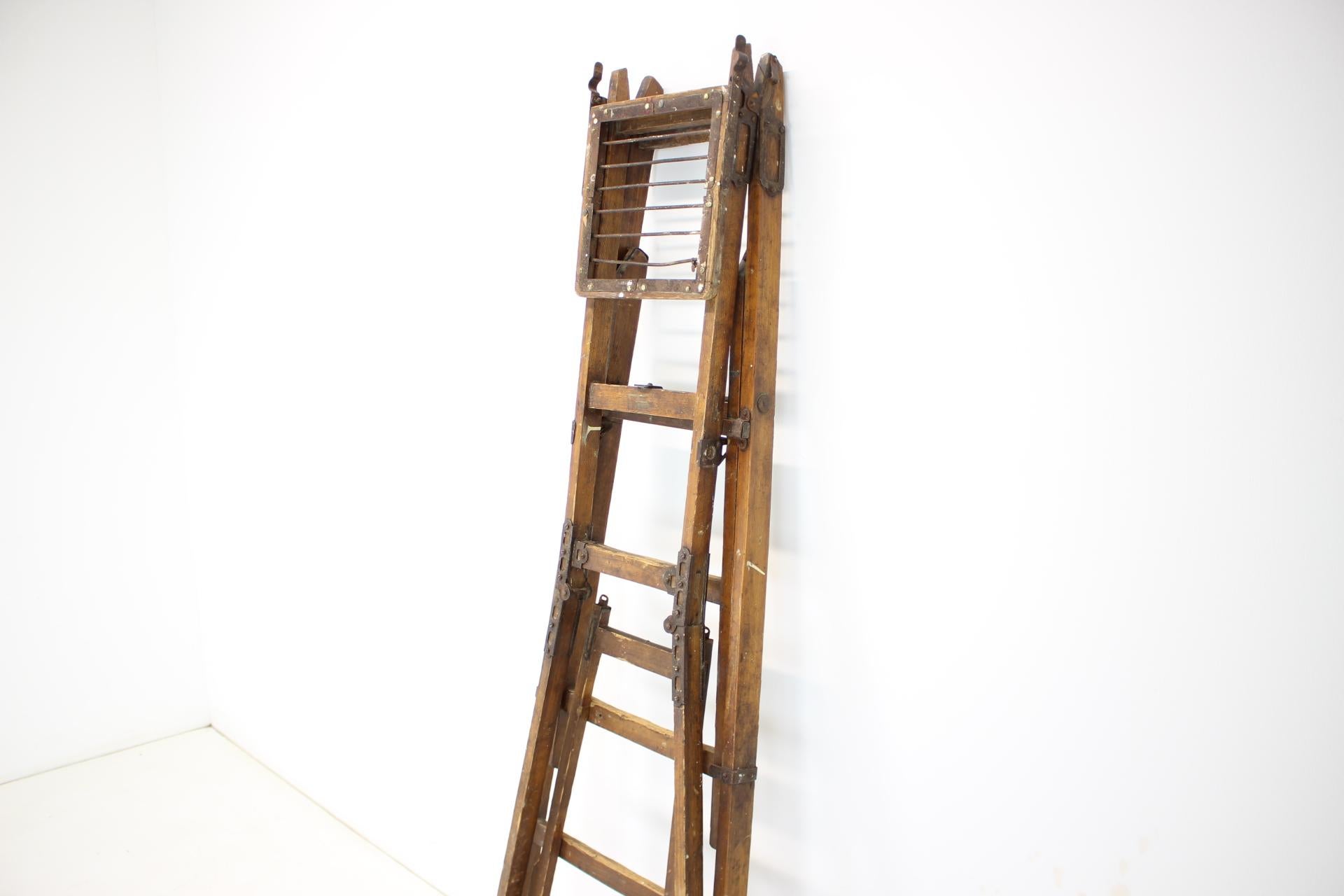 Folding Steps-Ladder for the Library, Czechoslovakia, 1920s For Sale 6