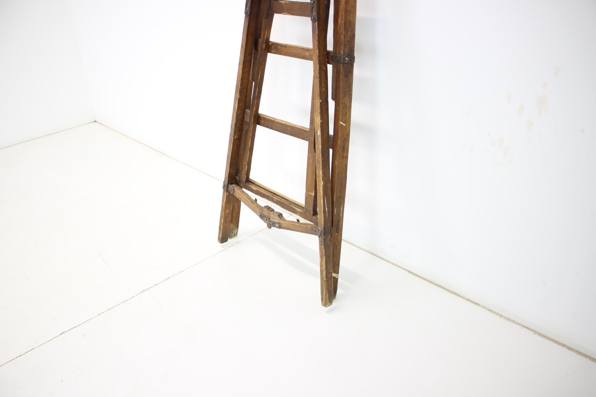 Folding Steps-Ladder for the Library, Czechoslovakia, 1920s For Sale 7