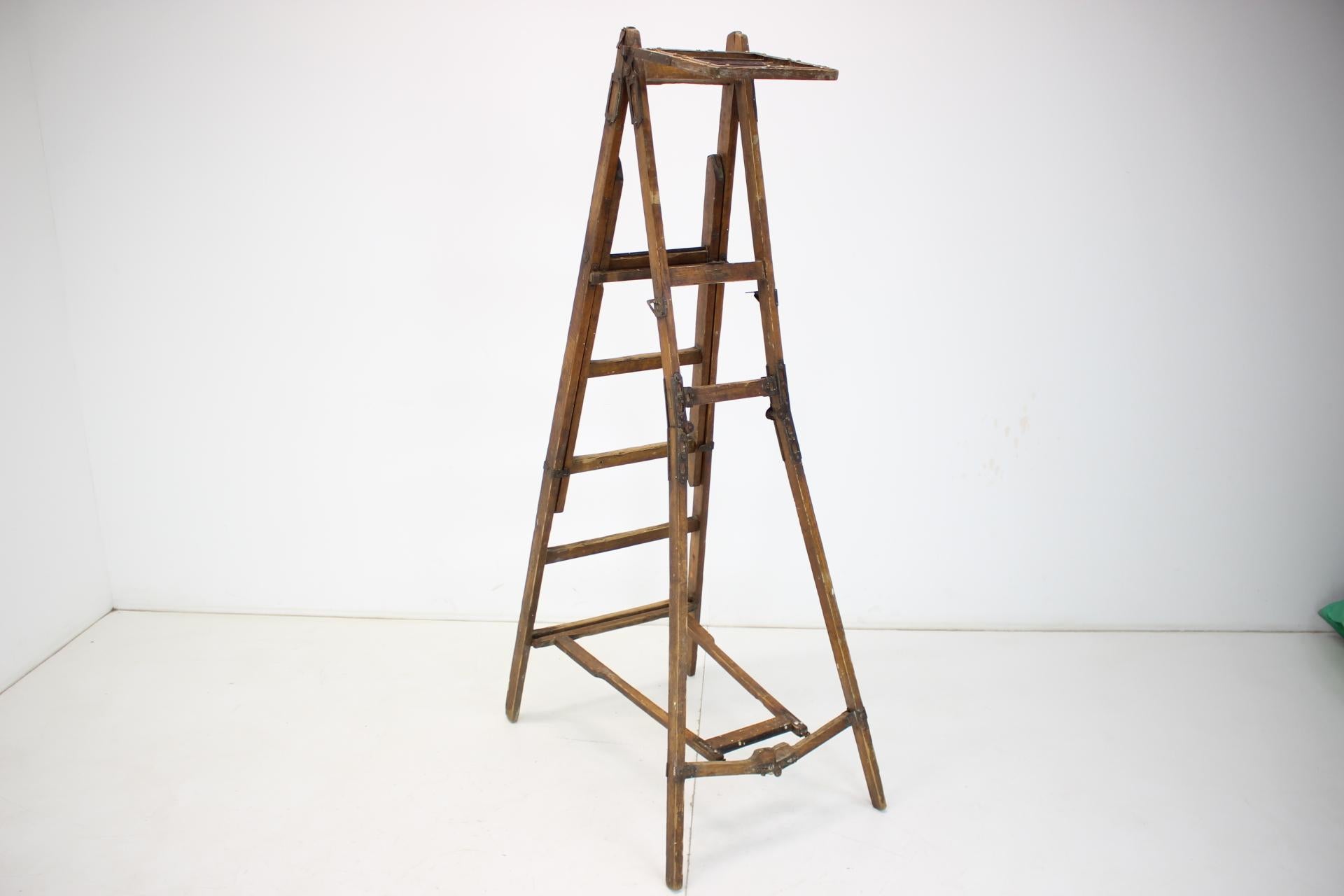 Art Deco Folding Steps-Ladder for the Library, Czechoslovakia, 1920s For Sale