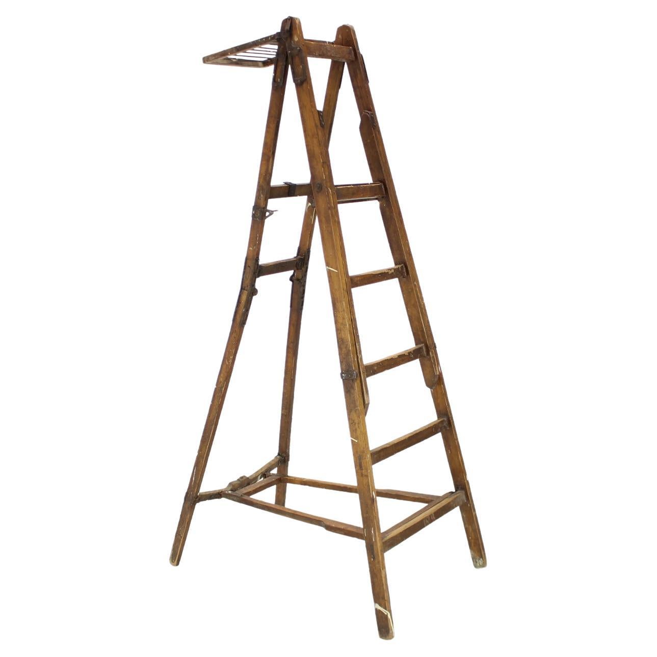 Folding Steps-Ladder for the Library, Czechoslovakia, 1920s For Sale