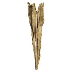 Folia – Organic Brass Wall Lamp with Gold Finish and Sculptural Design