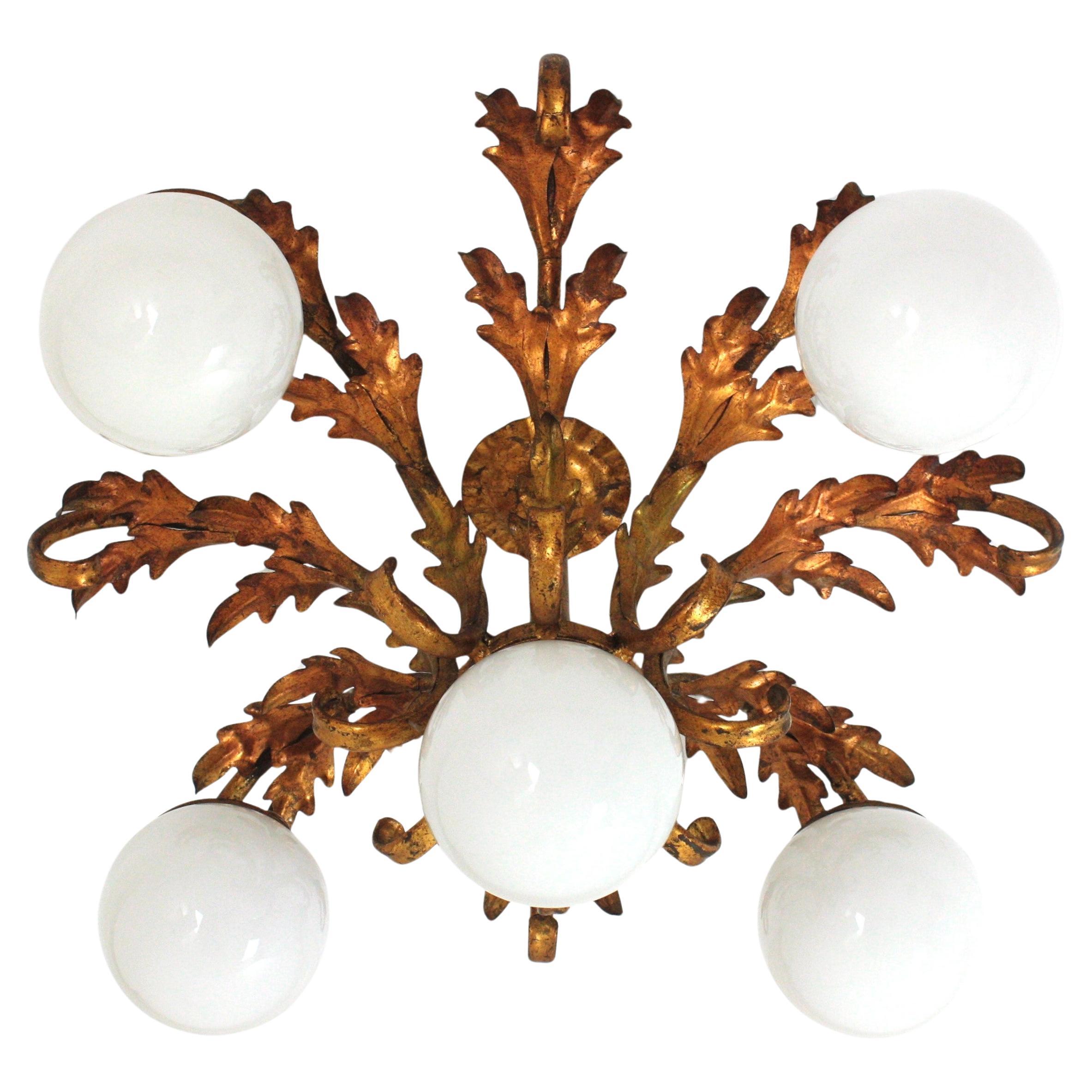 Spanish Foliage Sunburst Kronleuchter aus vergoldetem Schmiedeeisen mit 5 Opalglaskugeln
Spanien, 1950.
Einzigartige Foliage Glass Globe Kronleuchter / Flush Mount Deckenleuchte in vergoldetem Eisen.
Dieser fünfflammige Kronleuchter zeichnet sich