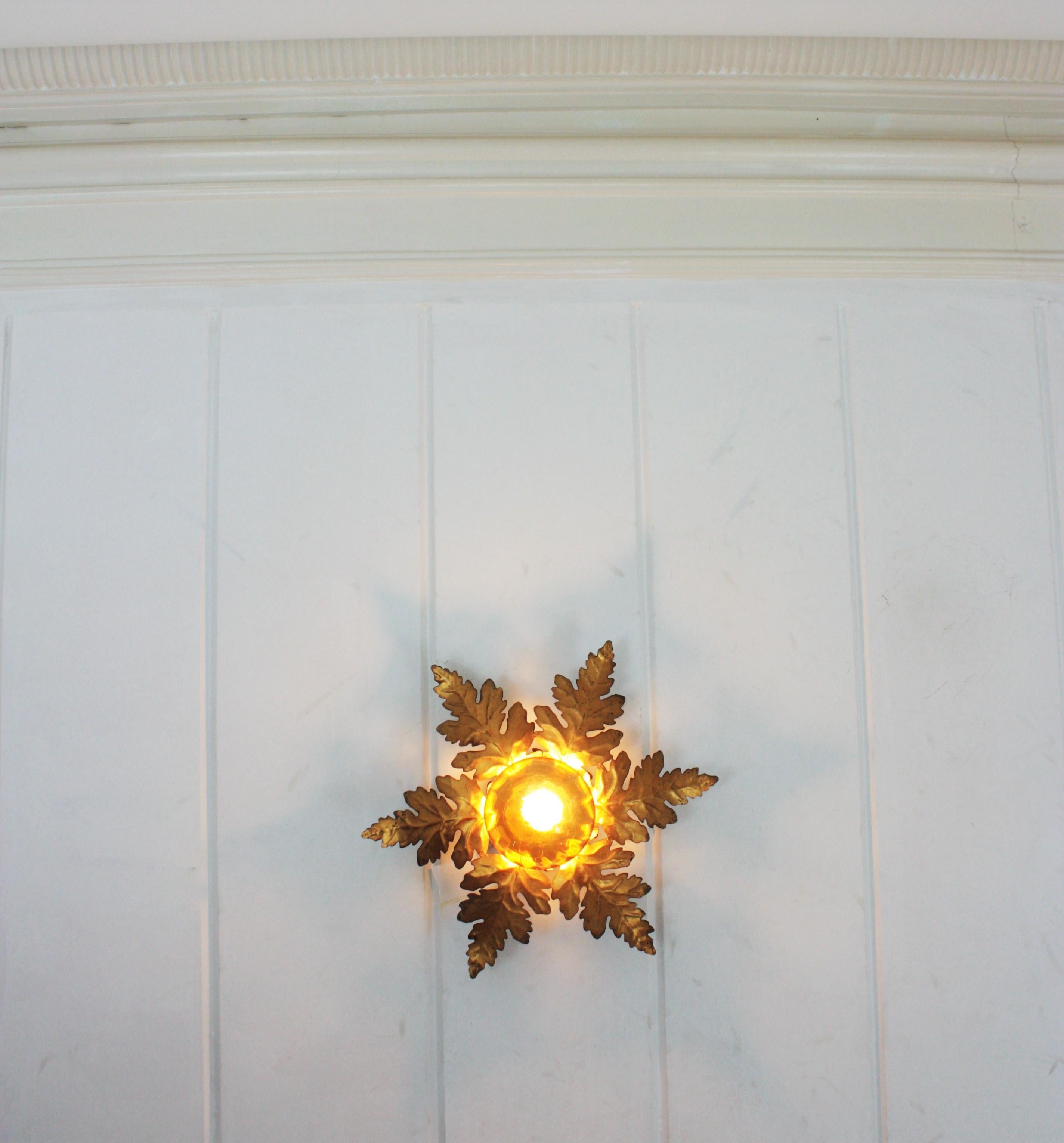 Foliage Sunburst Light Fixture in Gilt Iron with Amber Glass Globe 4
