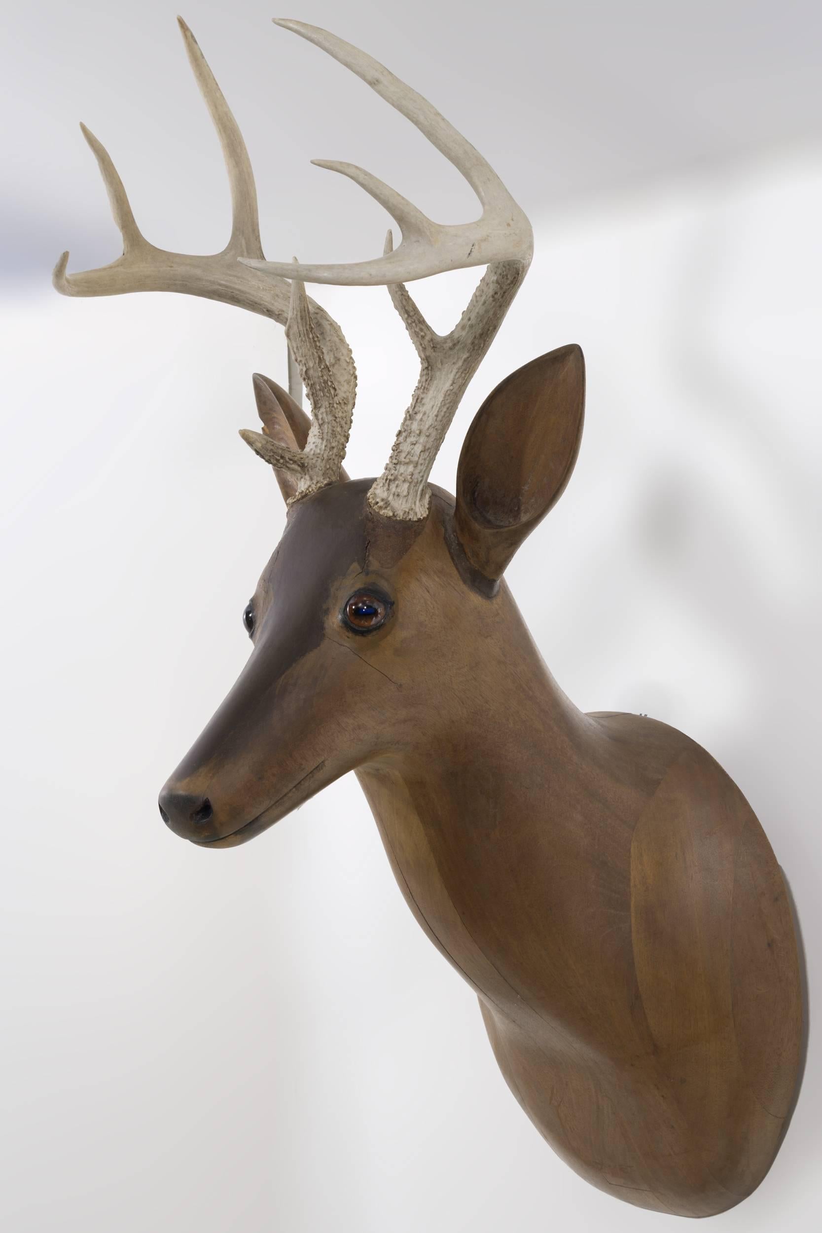 Made of American mahogany with inset
glass eyes and recycled antler. Natural finish
with a very contemporary clean look.


 
