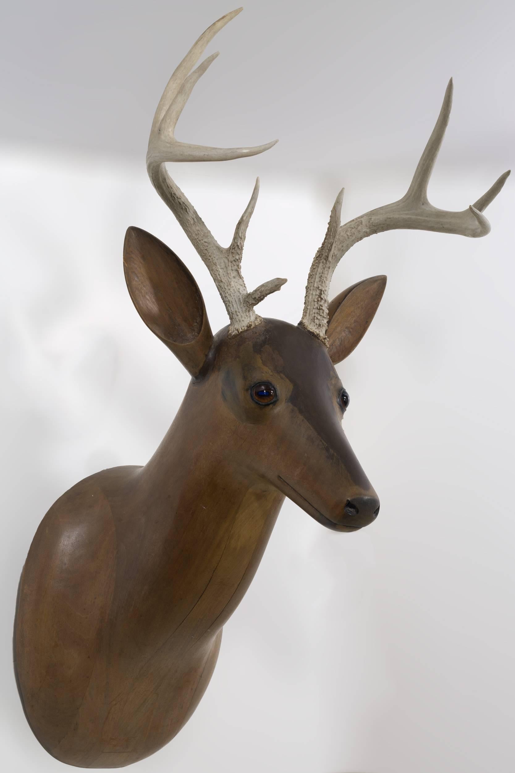 American Folk Art Carved Wooden Deer Head