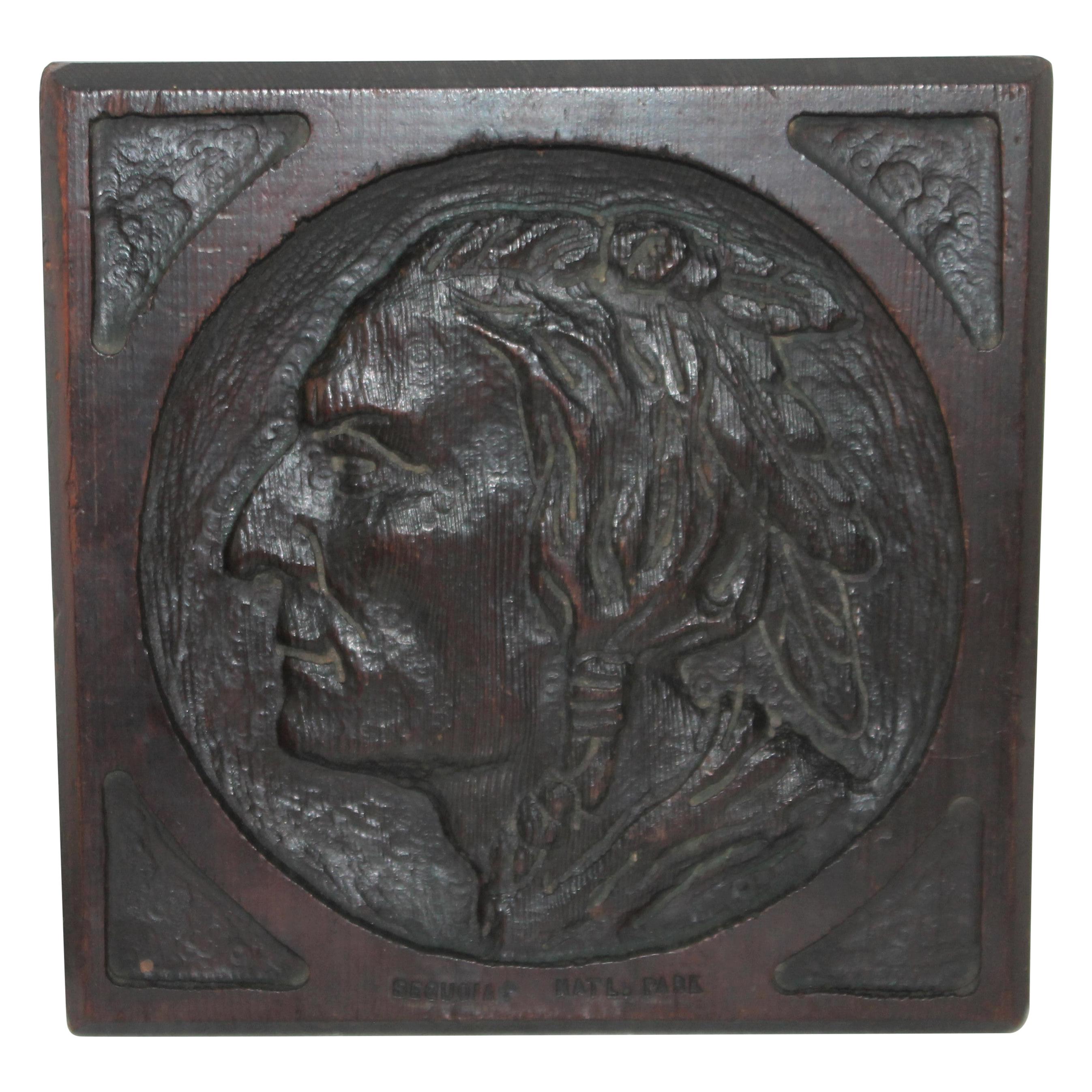 Folk Art Carving of a Indian Chief Plaque
