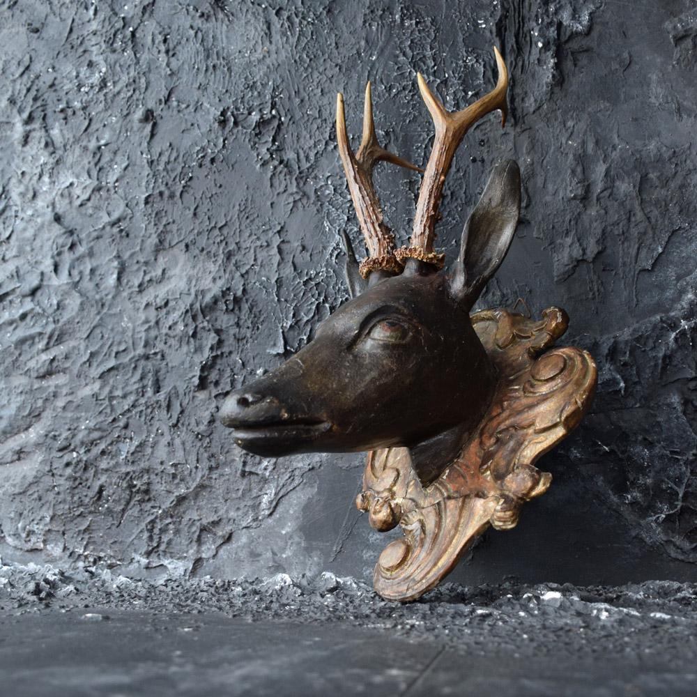 Folk Art Deer’s Museum Trophy Plaque with Natural Antlers, circa 1880 6