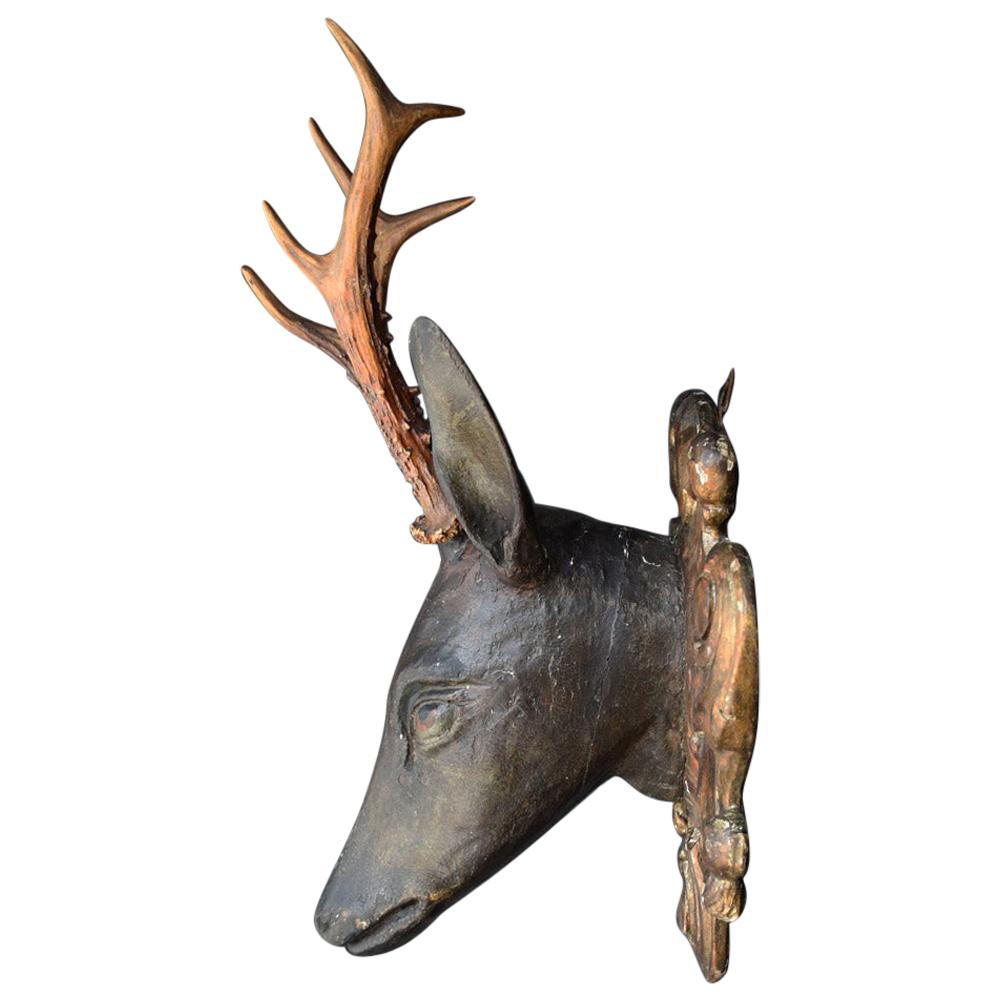 Folk Art Deer’s Museum Trophy Plaque with Natural Antlers, circa 1880