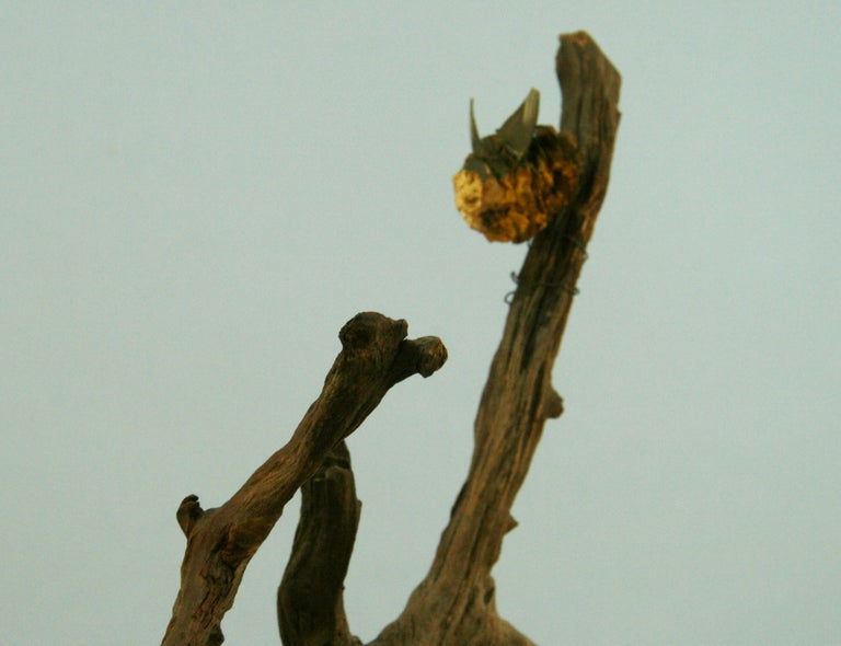 Folk Art Driftwood Carved Eastern Bird Sculpture For Sale 2