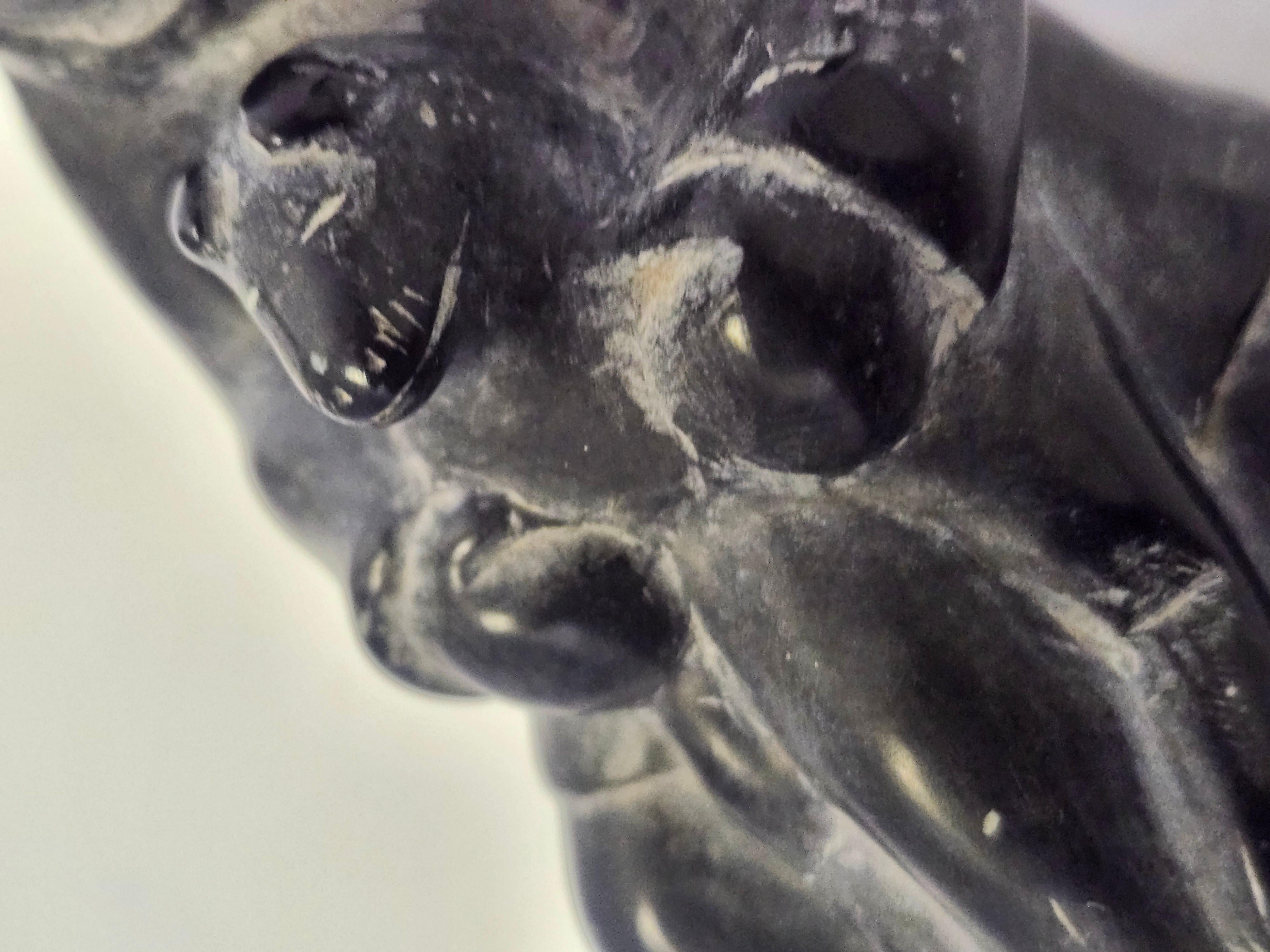 Hand-Carved Folk Art Inuit Hand Carving of a Man with a Bear in Soapstone C1975 For Sale