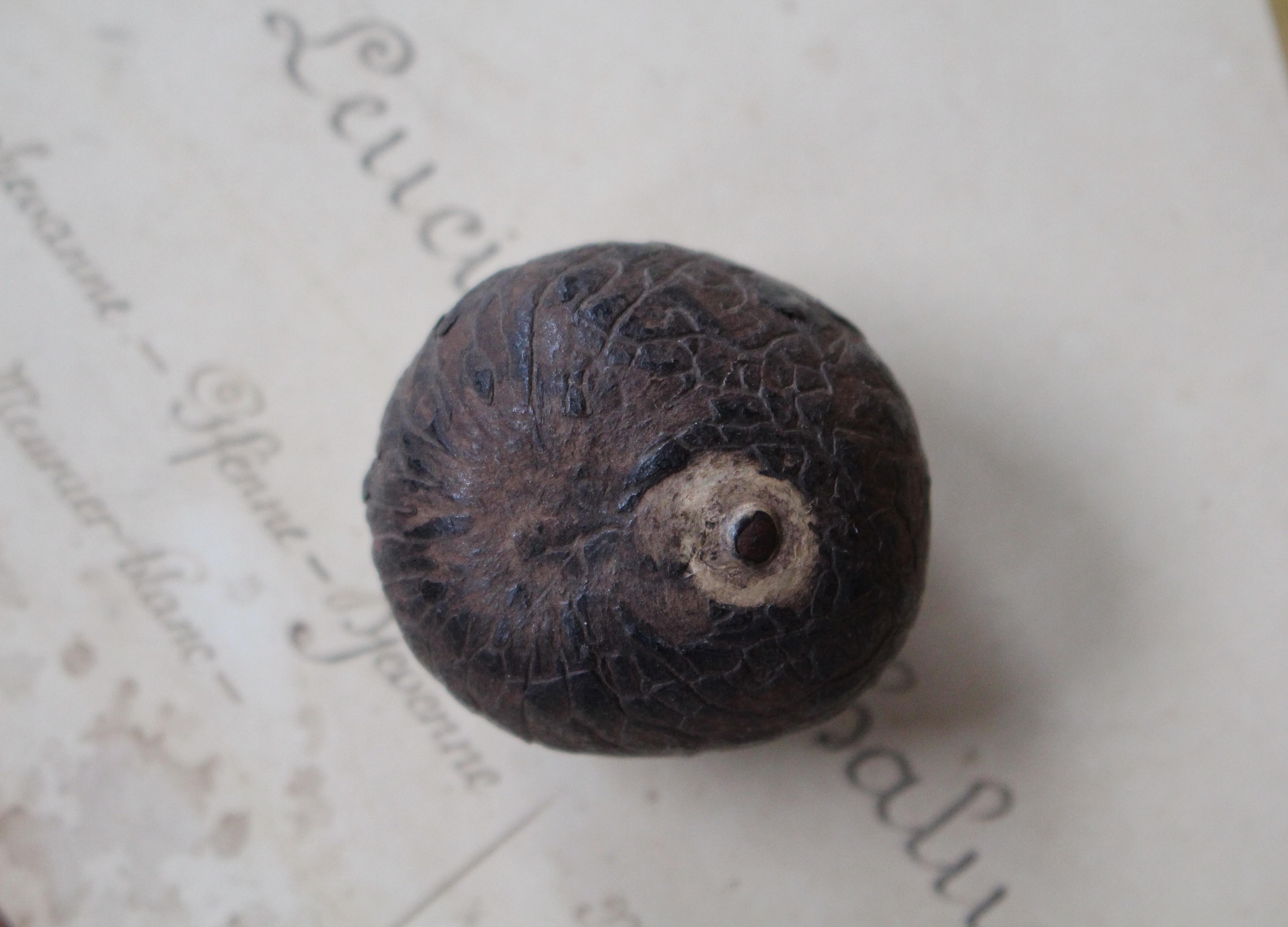 Folk Art Maritime Scrimshaw Shipwreck Tagua Nut 