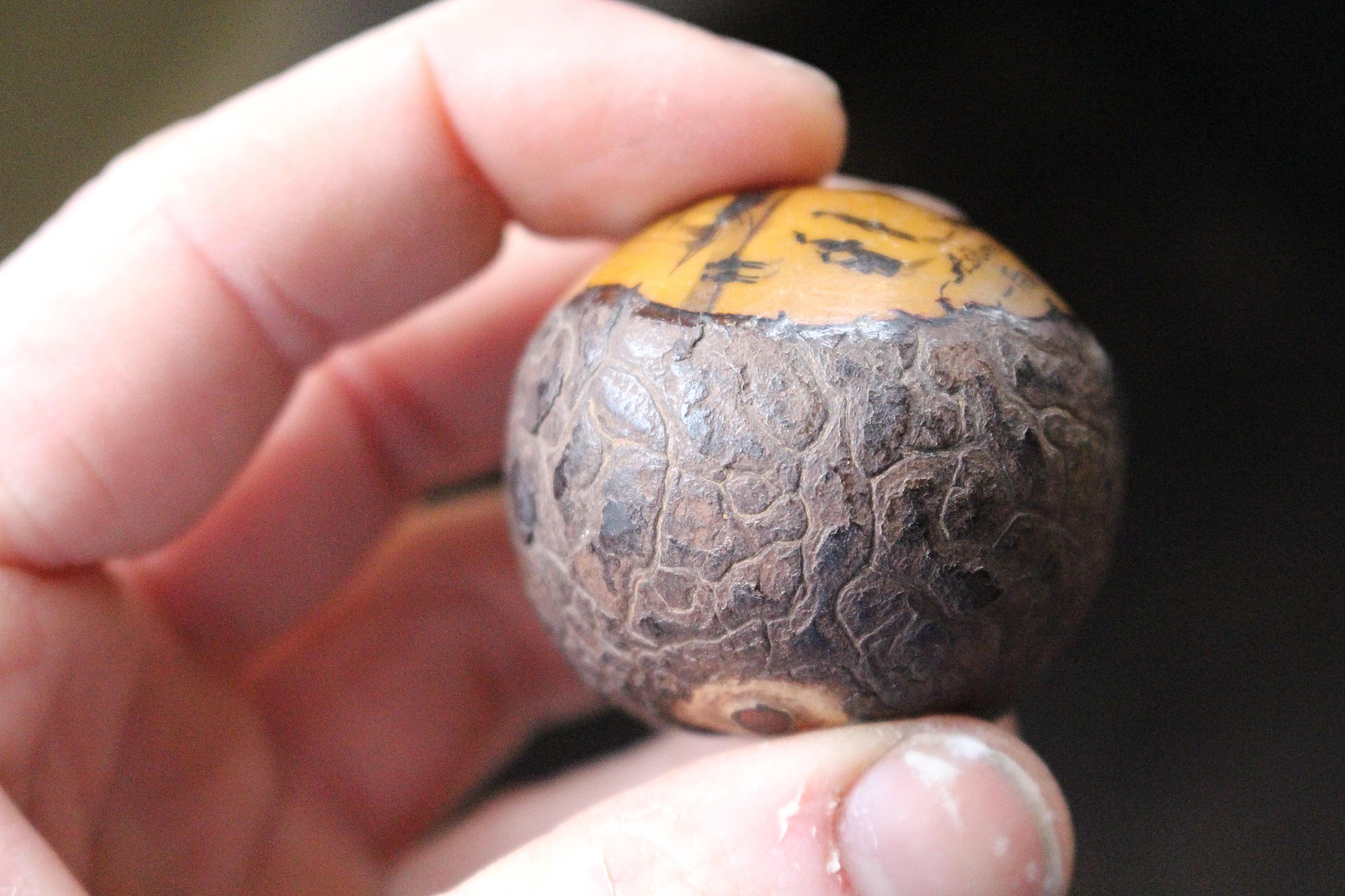Late 19th Century Folk Art Maritime Scrimshaw Shipwreck Tagua Nut 