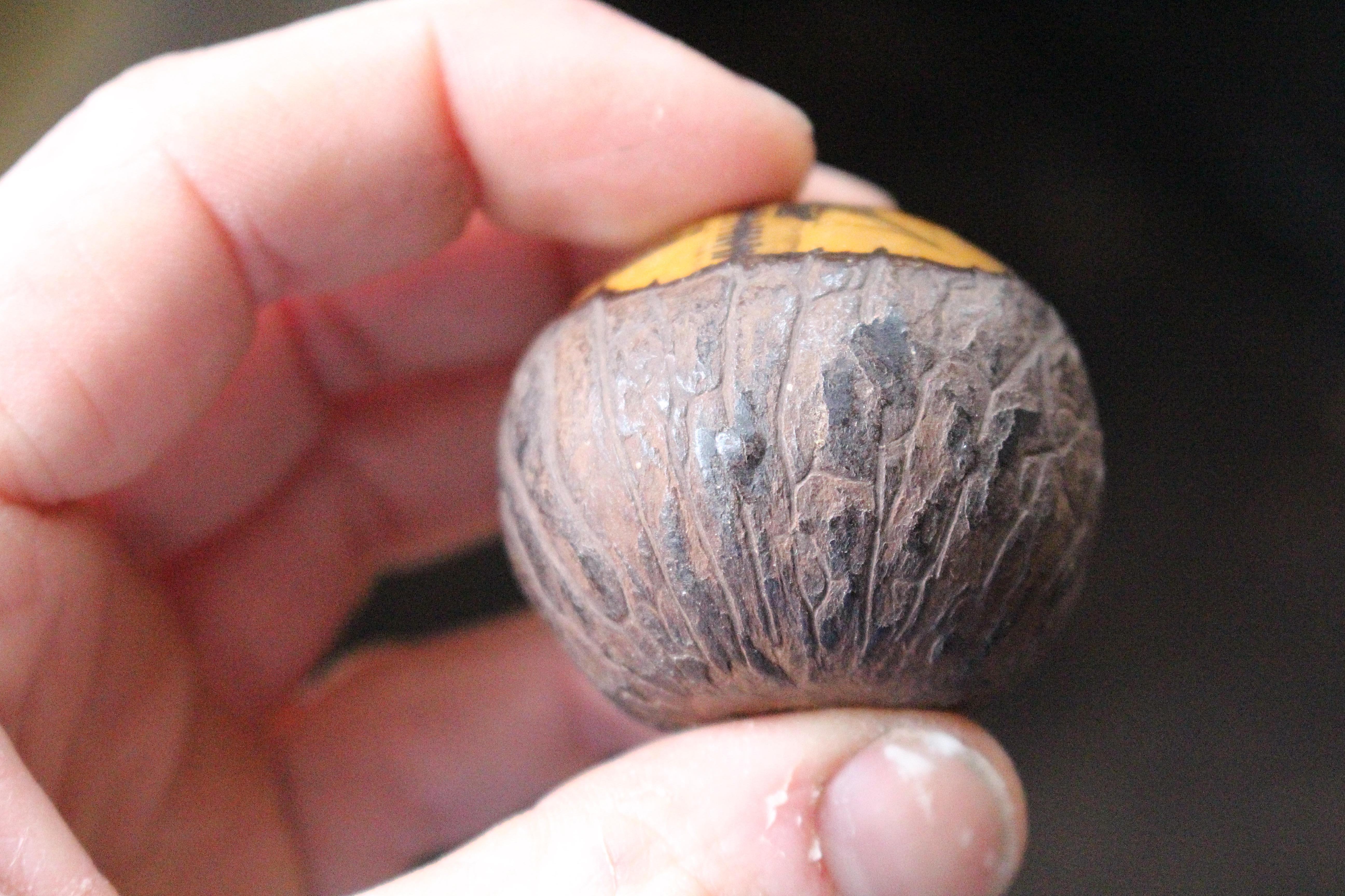 Folk Art Maritime Scrimshaw Shipwreck Tagua Nut 