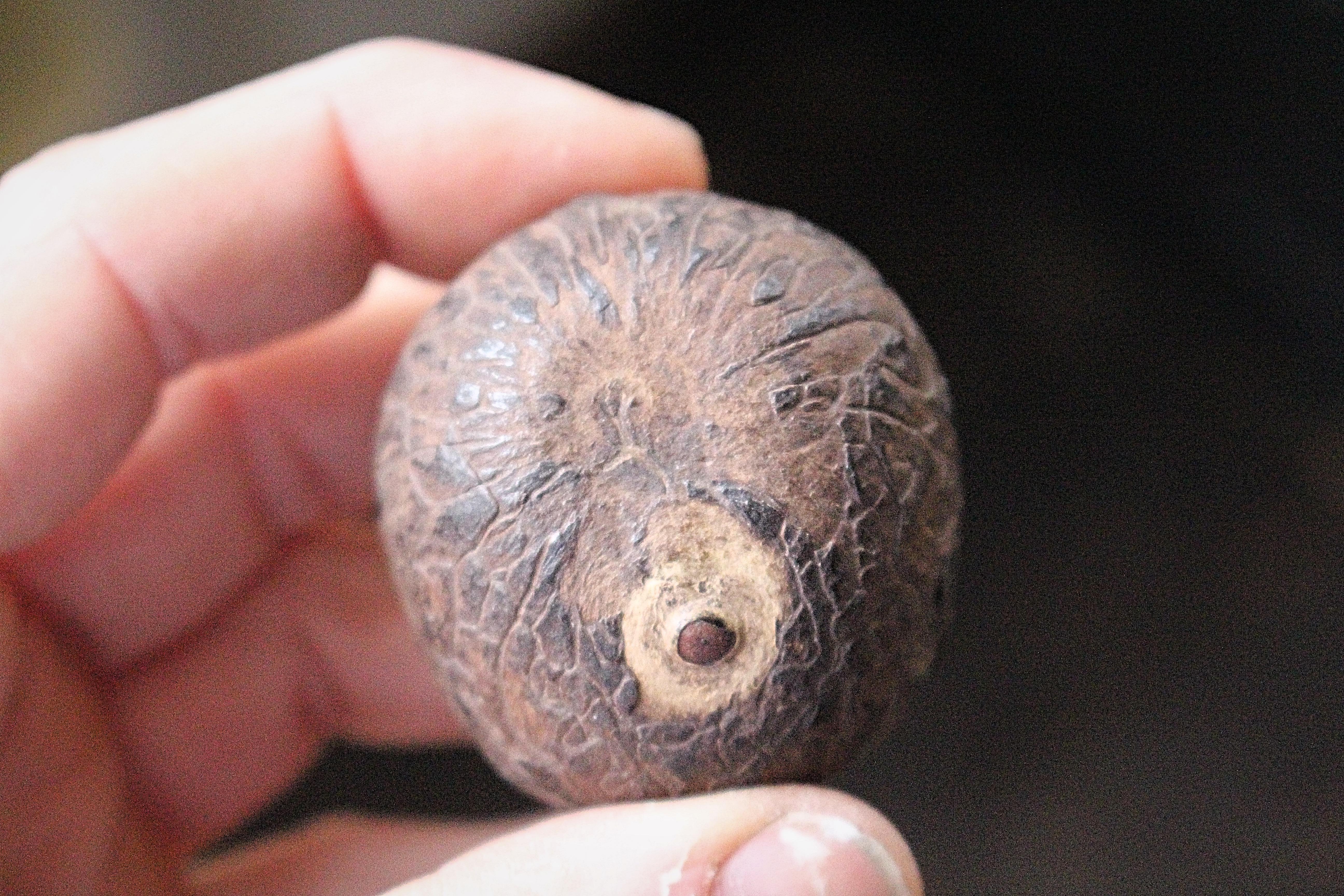 Folk Art Maritime Scrimshaw Shipwreck Tagua Nut 