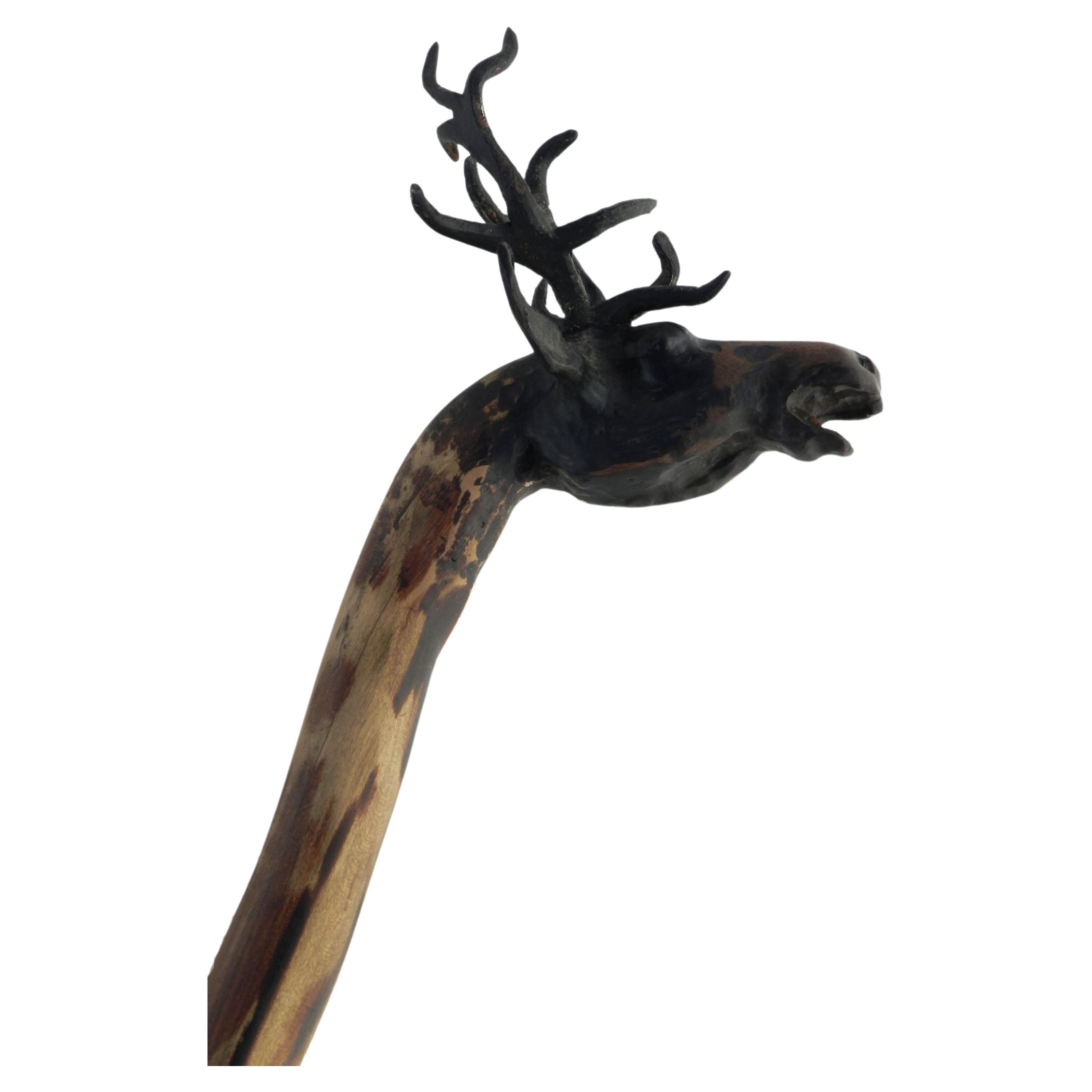 Folk Art Moose Head Walking Stick English Midcentury For Sale