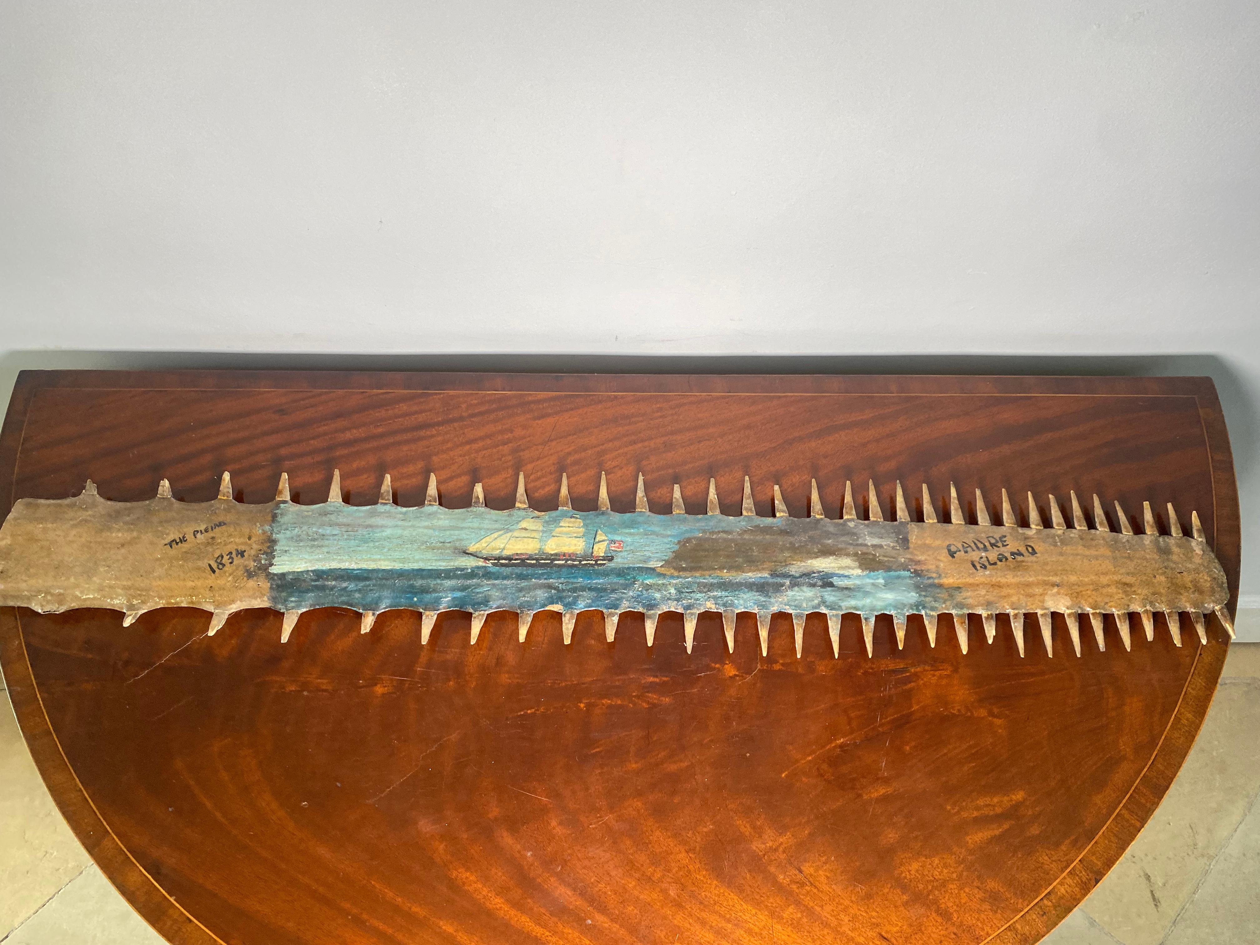 A fantastic and good size Sawfish Rostrum with folk art painting of the ship 'The Pleiad' at Padre Island Texas. dated 1834.