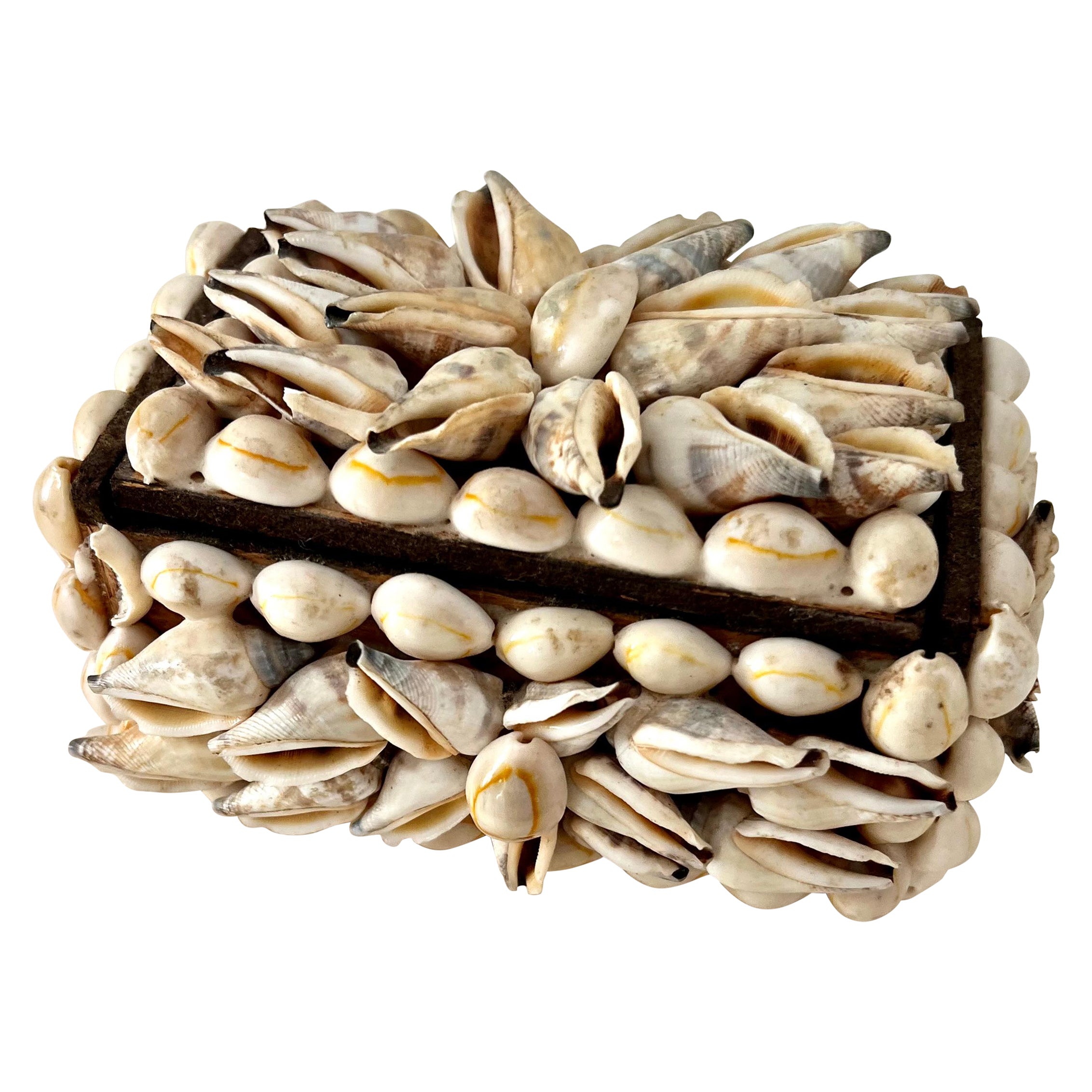 Scatola con coperchio in conchiglia Folk Art