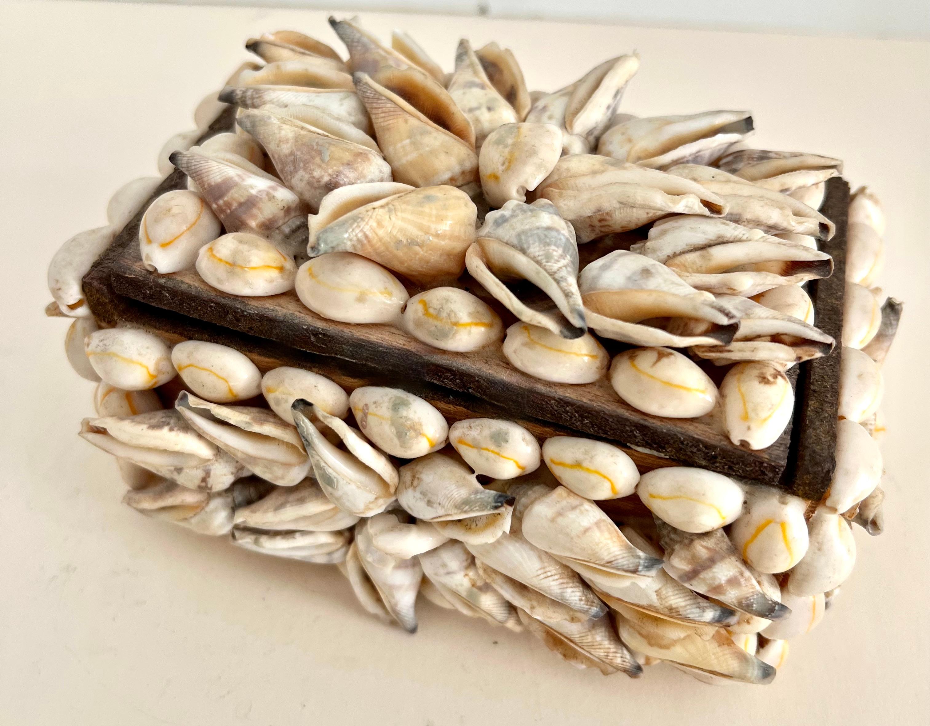Una meravigliosa piccola scatola con conchiglie. Il coperchio si rimuove per rivelare un interno in legno scuro. Si adatta a molti ambienti, dai pezzi decorativi su un tavolo da cocktail a un posto dove riporre qualsiasi cosa, dai gioielli sul