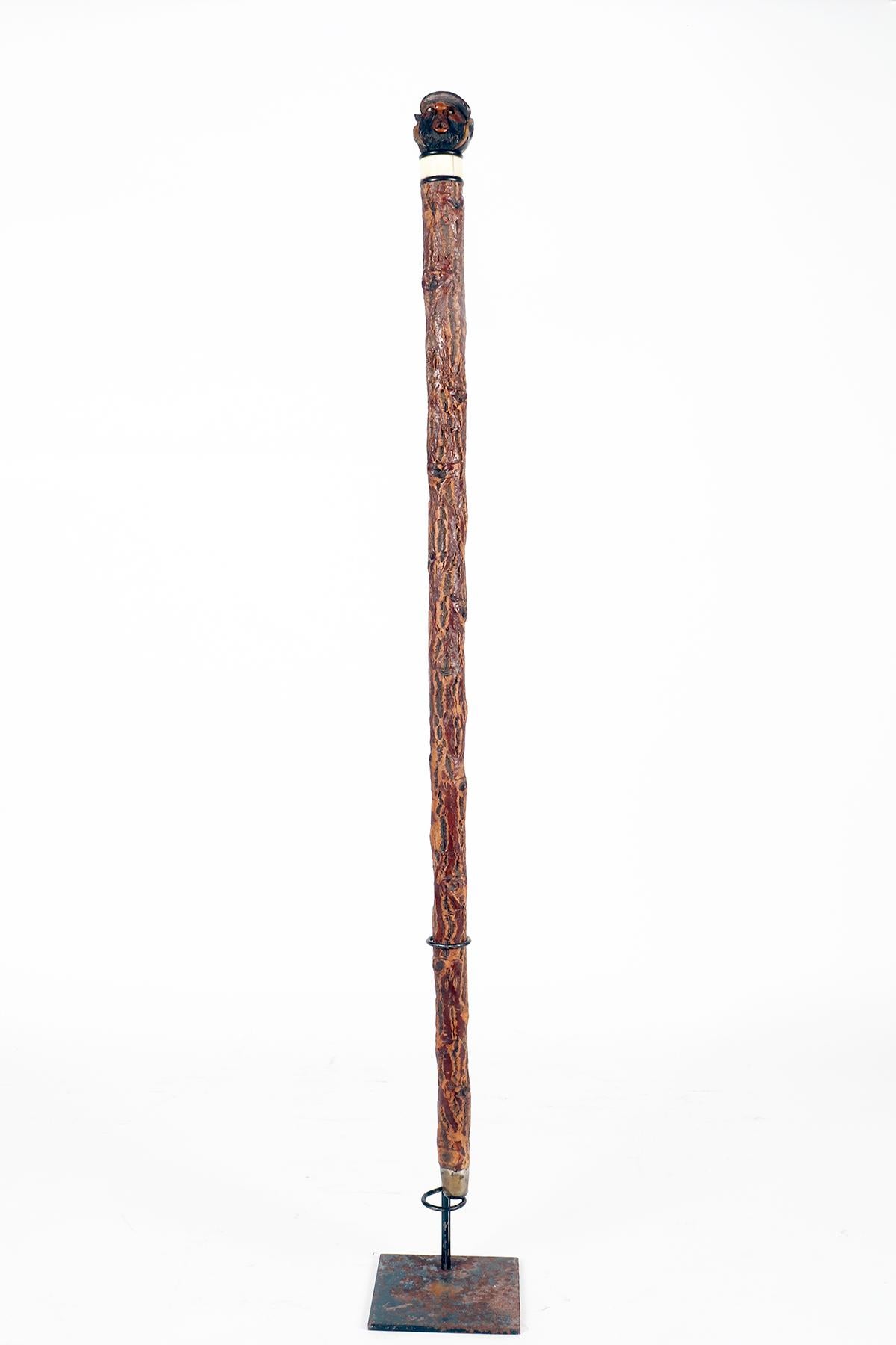 Francese Arte popolare  bastone da passeggio raffigurante la testa grottesca di un uomo, Francia 1880. in vendita