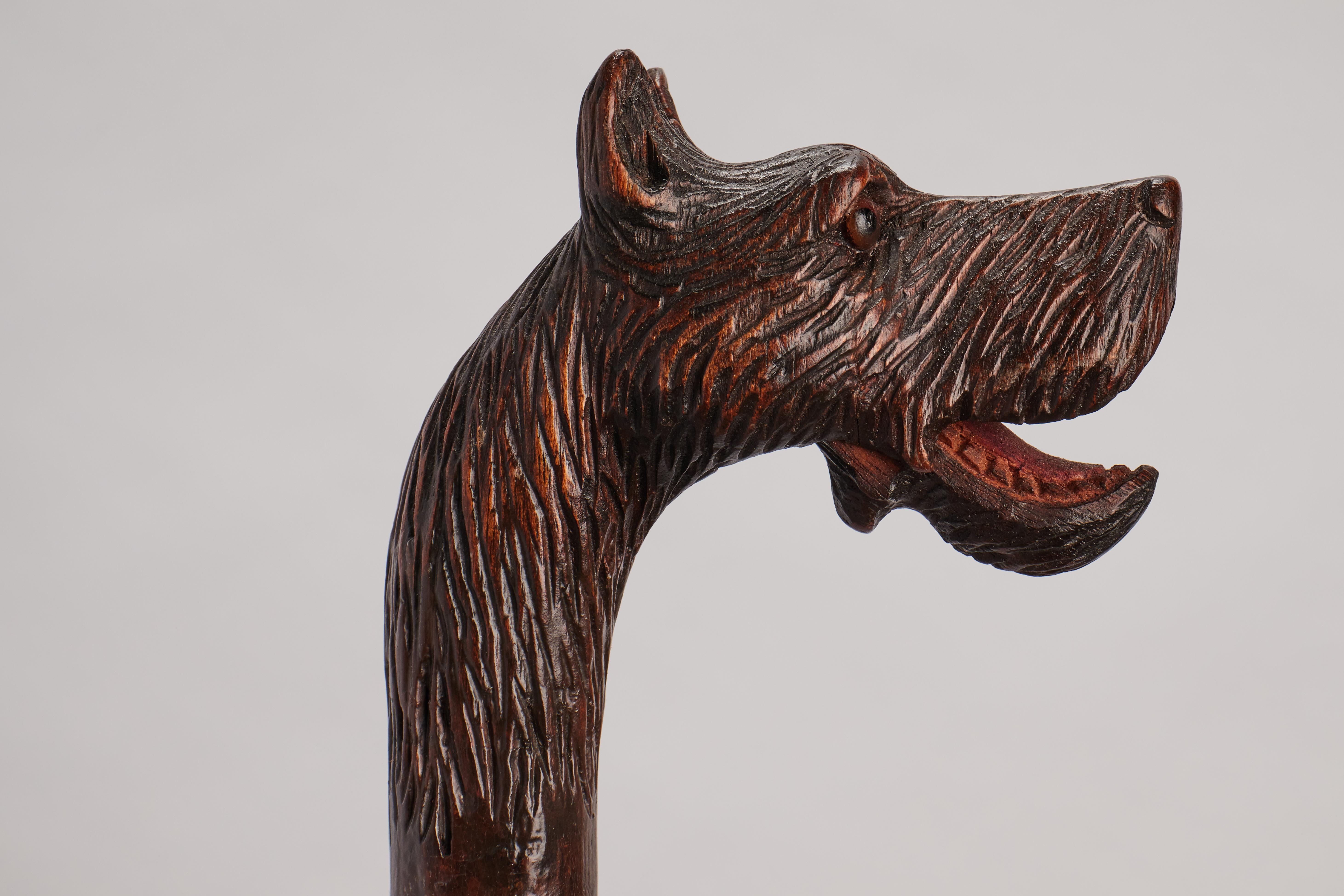 Canne d'art populaire, représentant la tête d'un chien dogue, Allemagne 1890. en vente 4