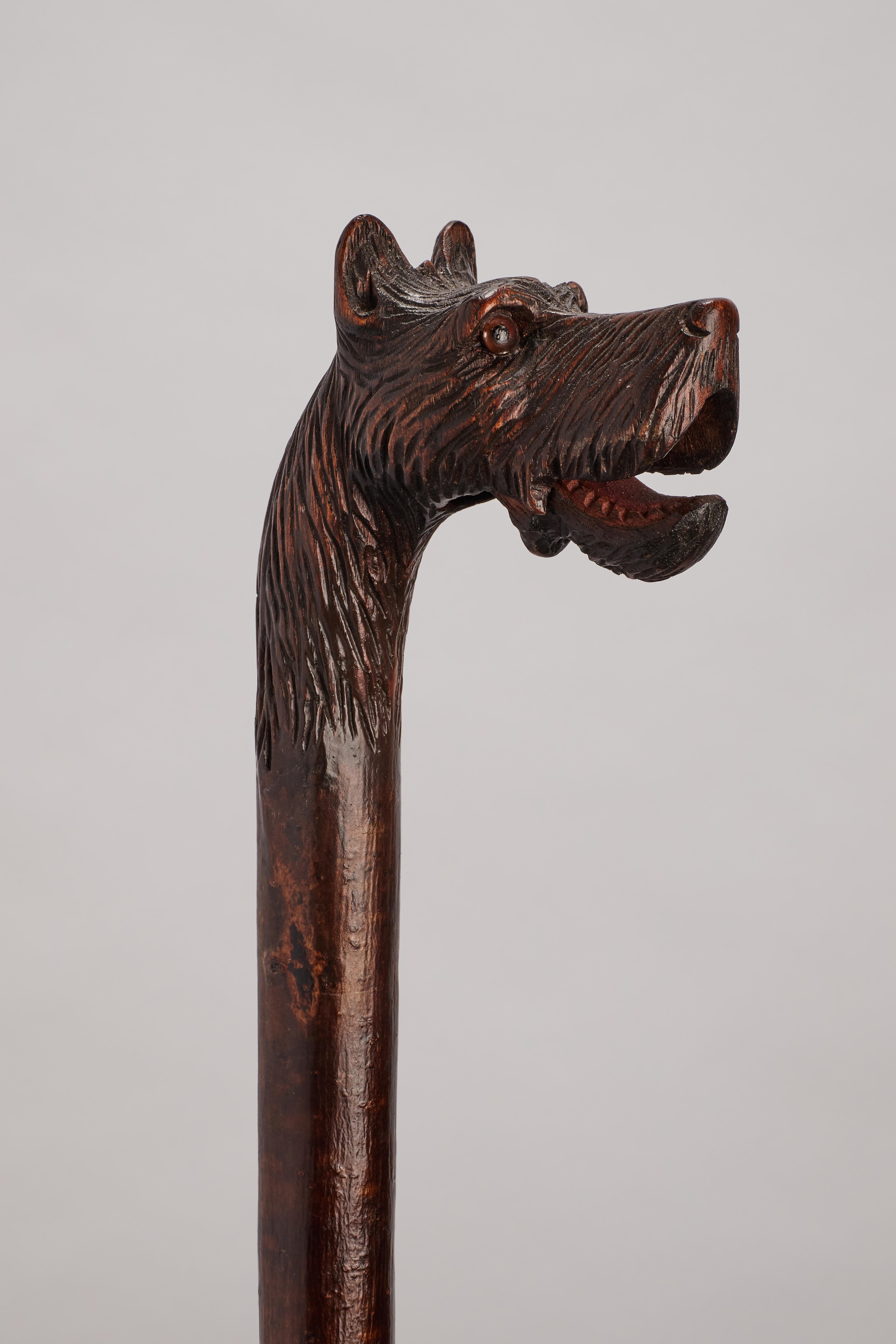 Canne d'art populaire, représentant la tête d'un chien dogue, Allemagne 1890. Bon état - En vente à Milan, IT