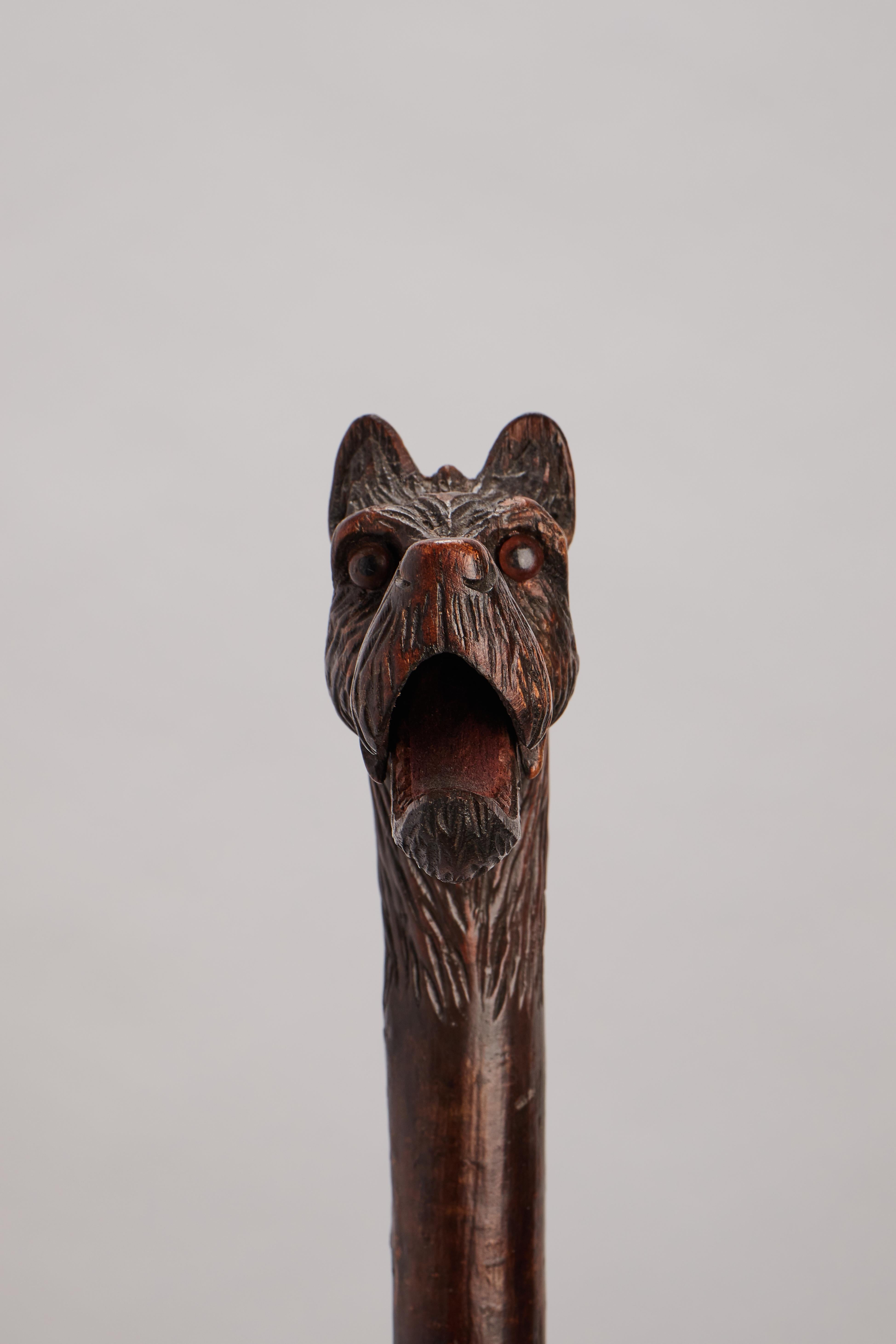 XIXe siècle Canne d'art populaire, représentant la tête d'un chien dogue, Allemagne 1890. en vente