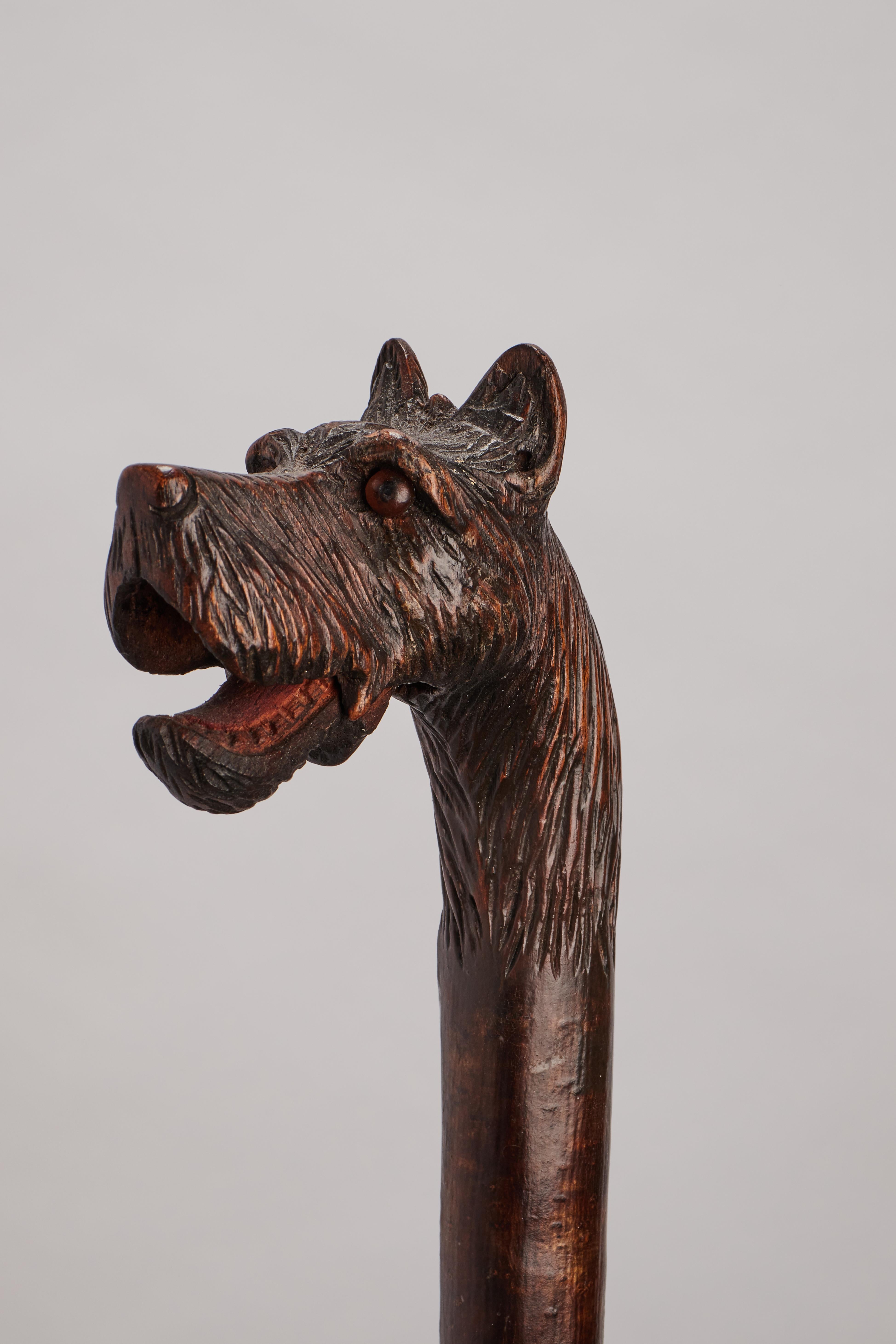 Métal Canne d'art populaire, représentant la tête d'un chien dogue, Allemagne 1890. en vente