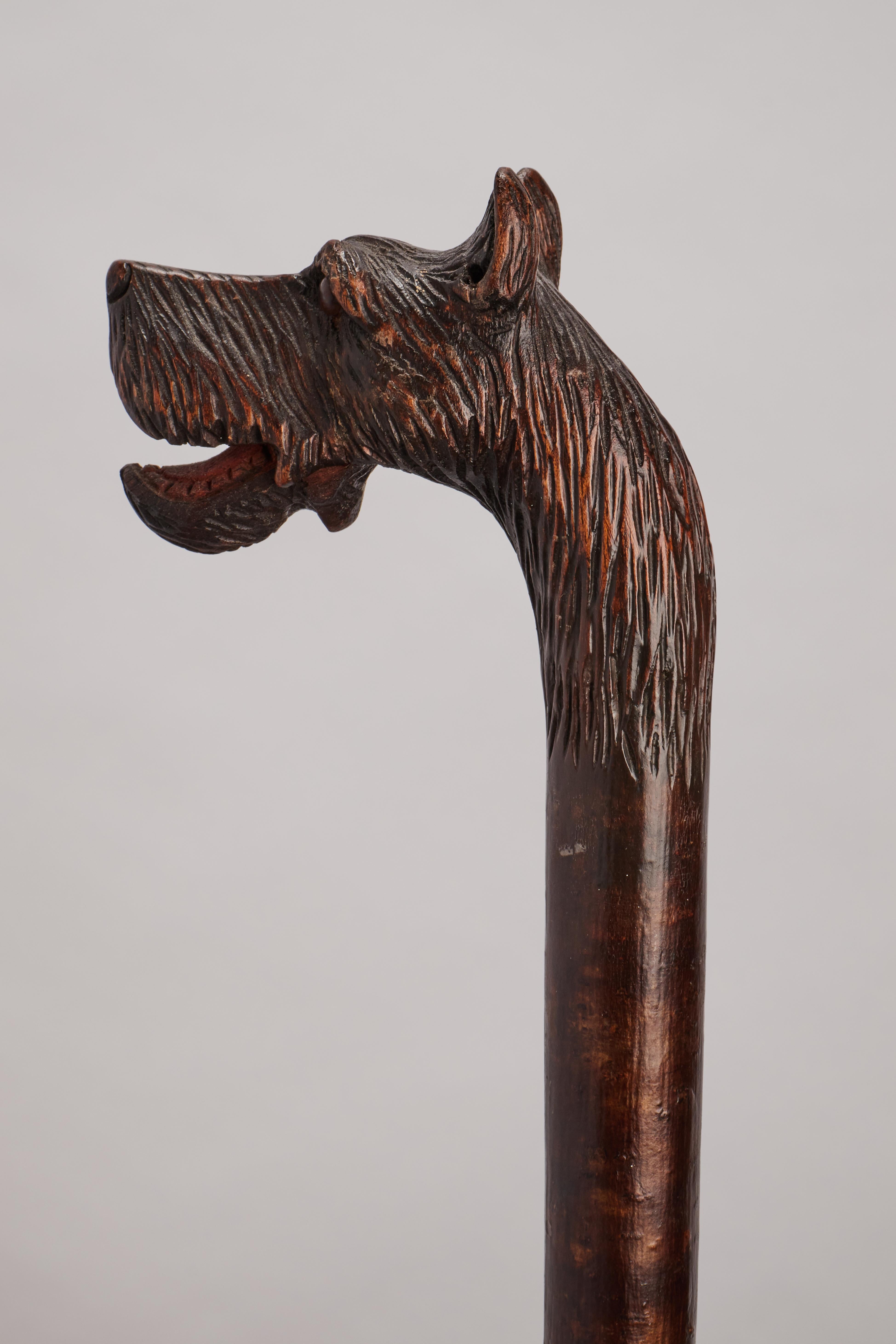Canne d'art populaire, représentant la tête d'un chien dogue, Allemagne 1890. en vente 1