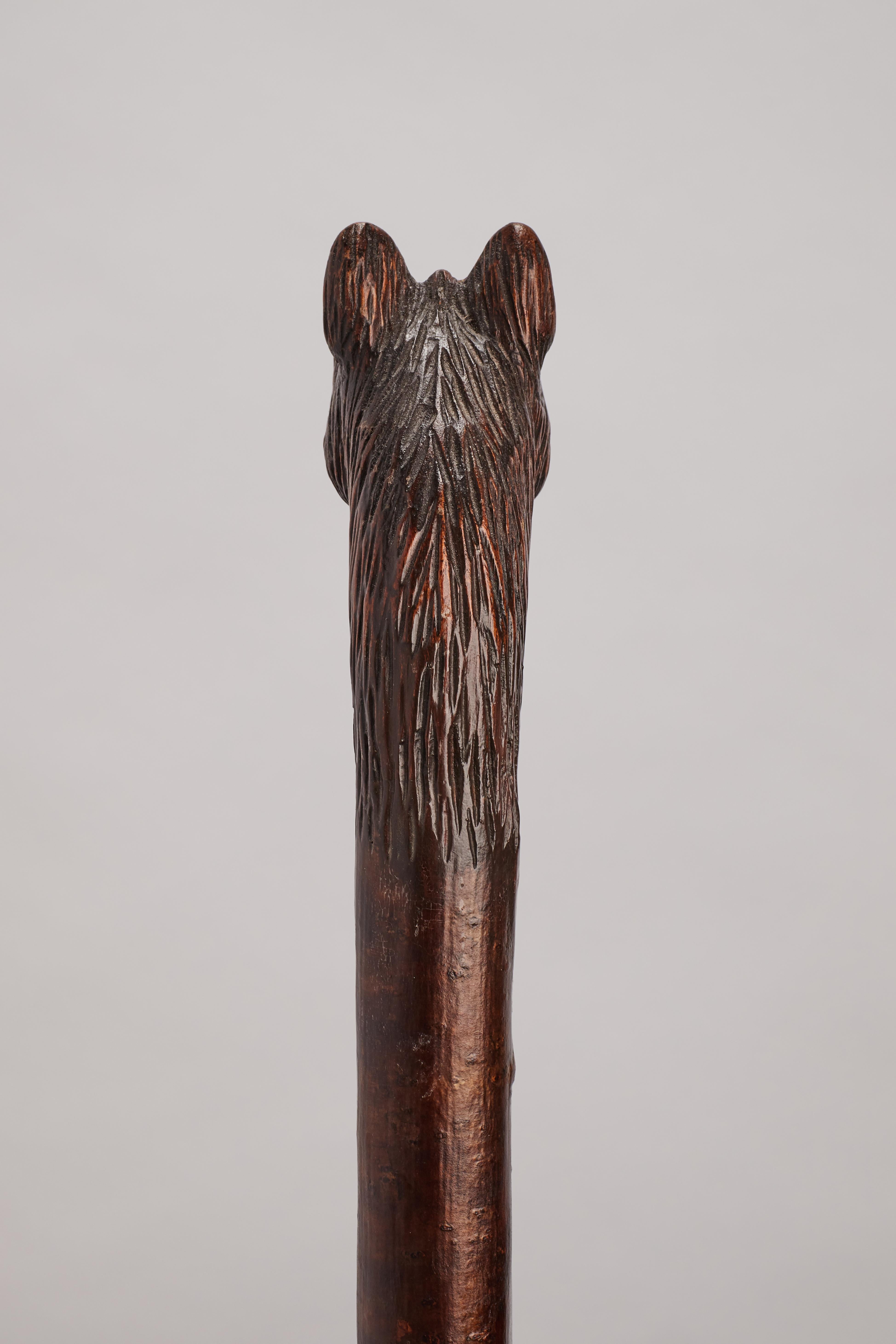 Canne d'art populaire, représentant la tête d'un chien dogue, Allemagne 1890. en vente 2