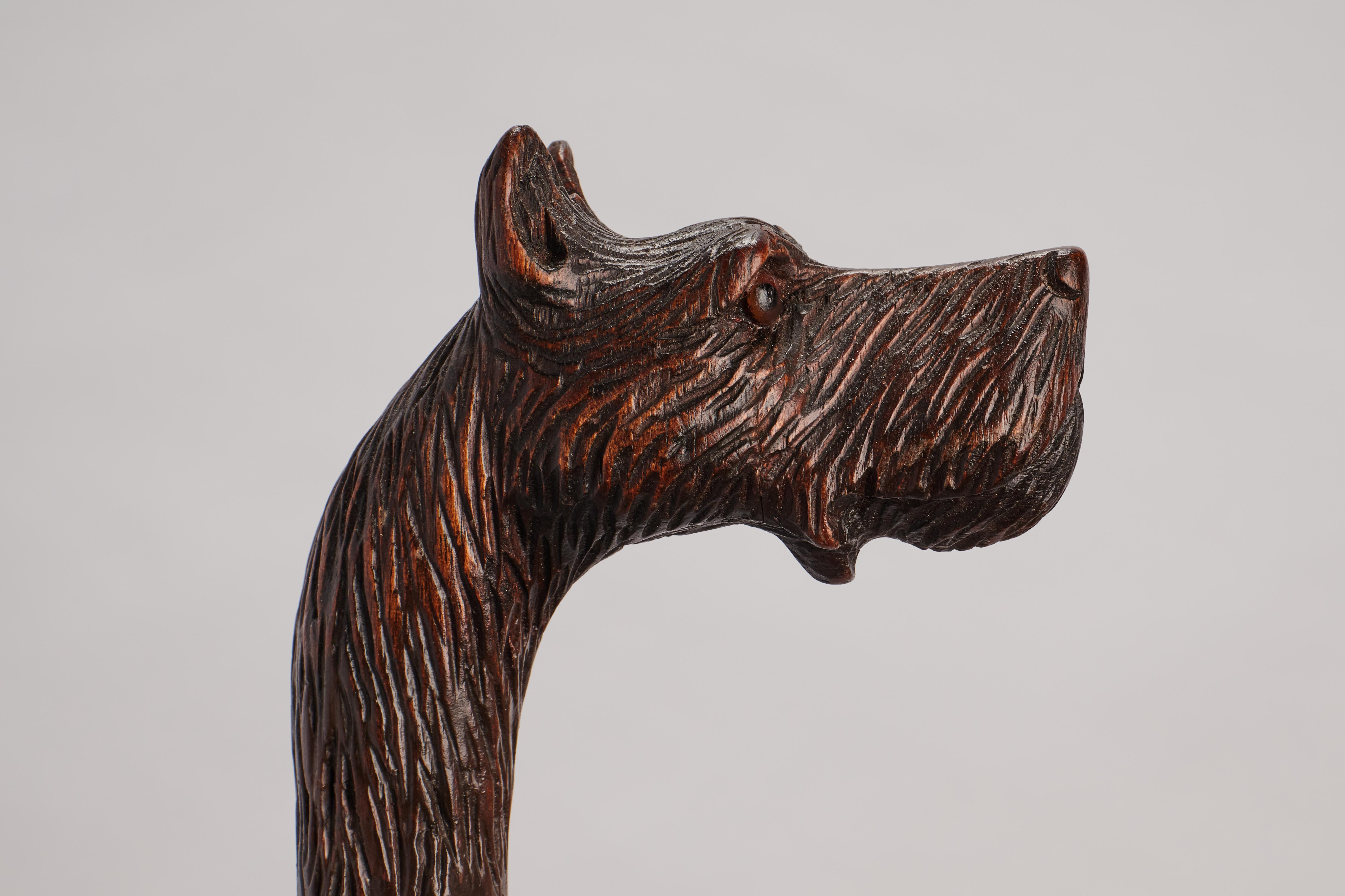 Canne d'art populaire, représentant la tête d'un chien dogue, Allemagne 1890. en vente 3