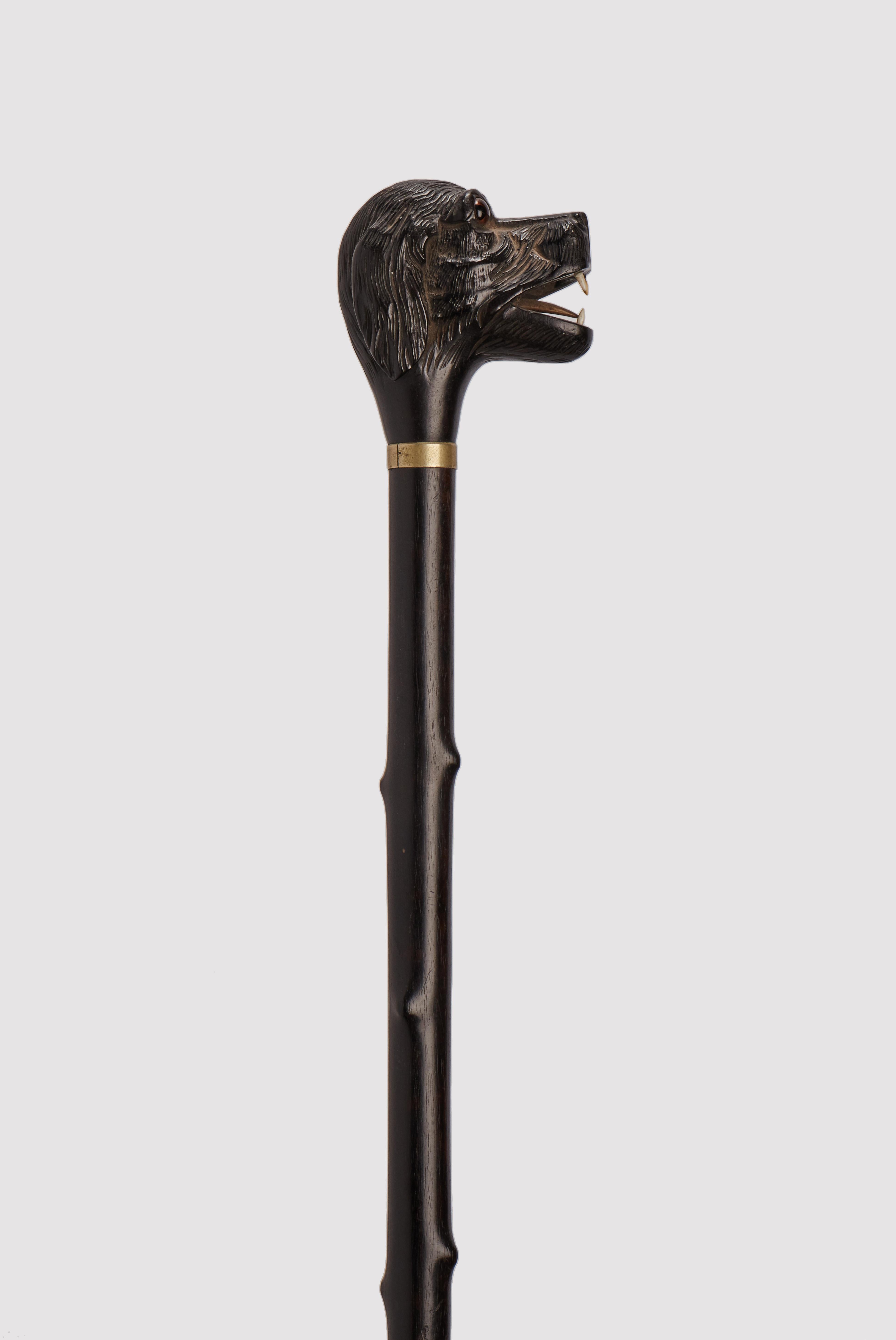 Folk art walking stick: carved wooden handle depicting a dog’s head with a mouth open. Sulphur glass eyes, bones tongue and bones teeth. Ebony wood shaft, Silver ring. Metal ferrule. France 1890 circa.