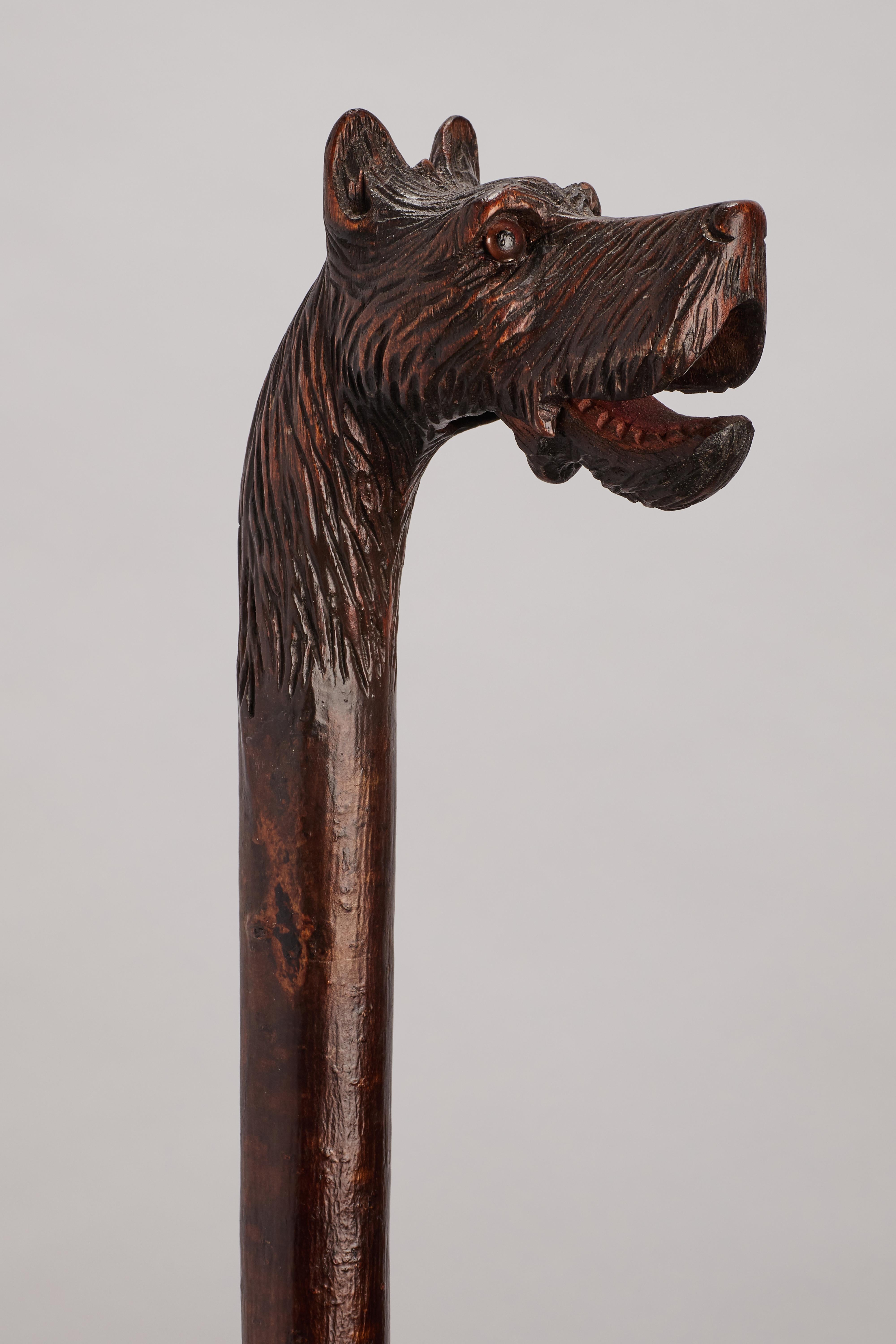 19th Century Folk Art Walking Stick, Germany, 1890 For Sale