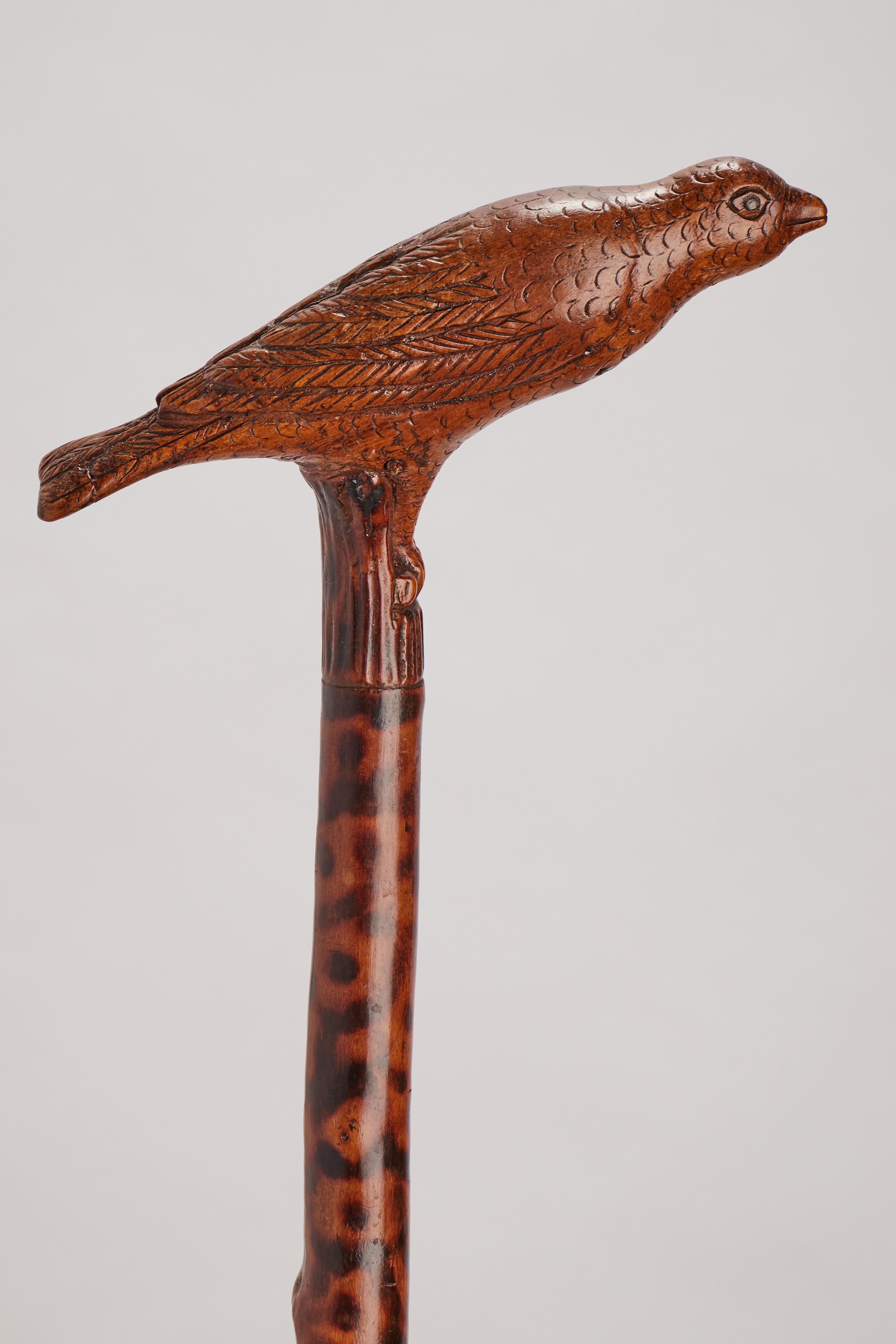 Folk Art walking stick: one piece of fruitwood branch follows the natural growth. Sculpted handle depicting a bird flamed shaft decoration. Metal ferrule. Italy, circa 1870.