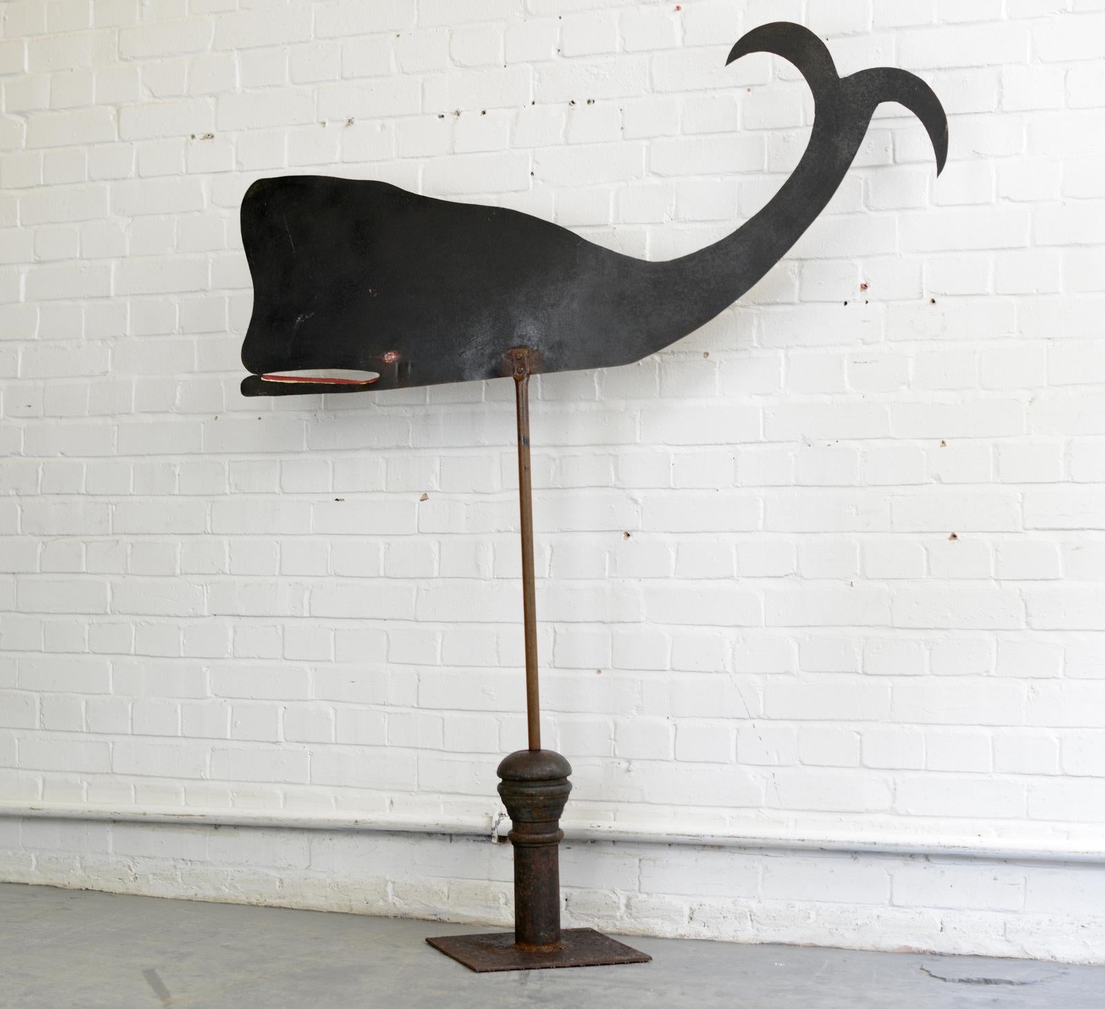 Folk Art Whale Weathervane, circa 1950s.

- Made from sheet steel and hand painted
- Heavy cast iron base
- Salvaged from a building in Portsmouth docks
- English, 1950s
- Measures: 157 cm tall x 129 cm wide.

Condition report:

The piece