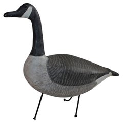 Folky Canadian Goose on Iron Feet