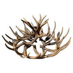 Folky Wooden Elk Horn Chandelier