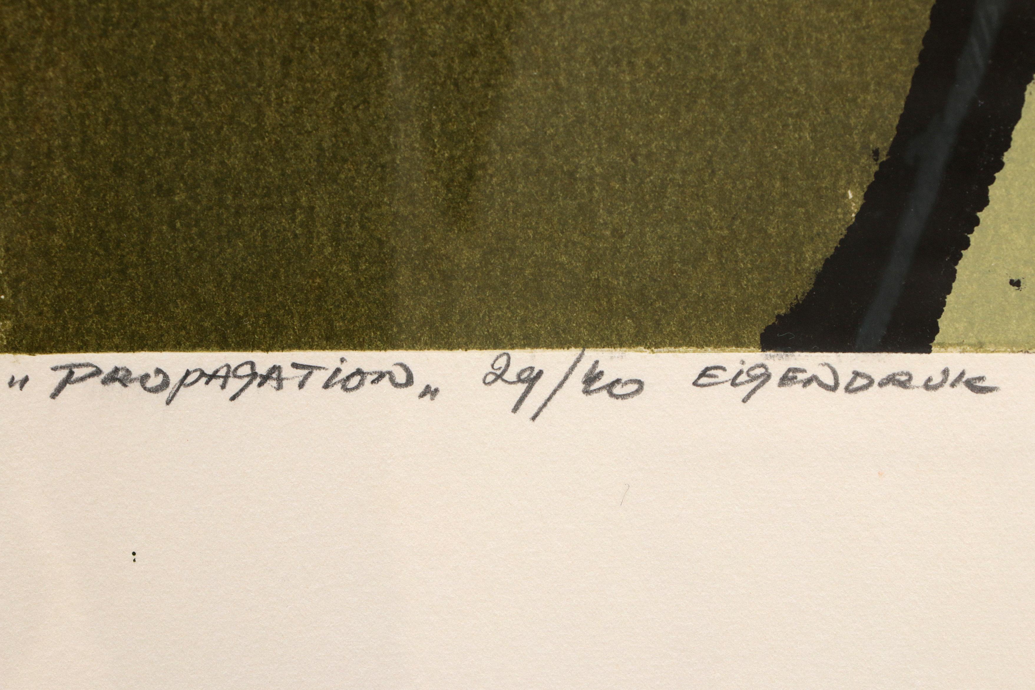 Fon Klement (1930-2000) „Propagation“, signiert mit 29/40 eigenen Druck, 1971 (Papier) im Angebot