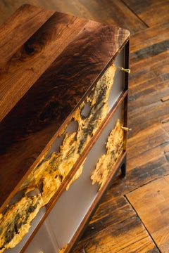 Fontes Modern Cabinet with Burl Sliding Panels