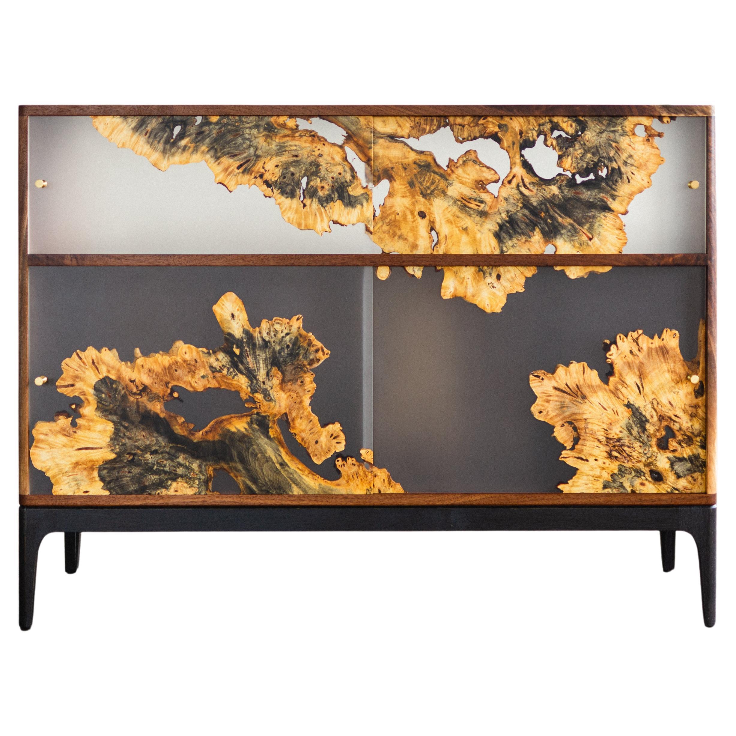 Fontes Modern Cabinet with Burl Sliding Panels For Sale
