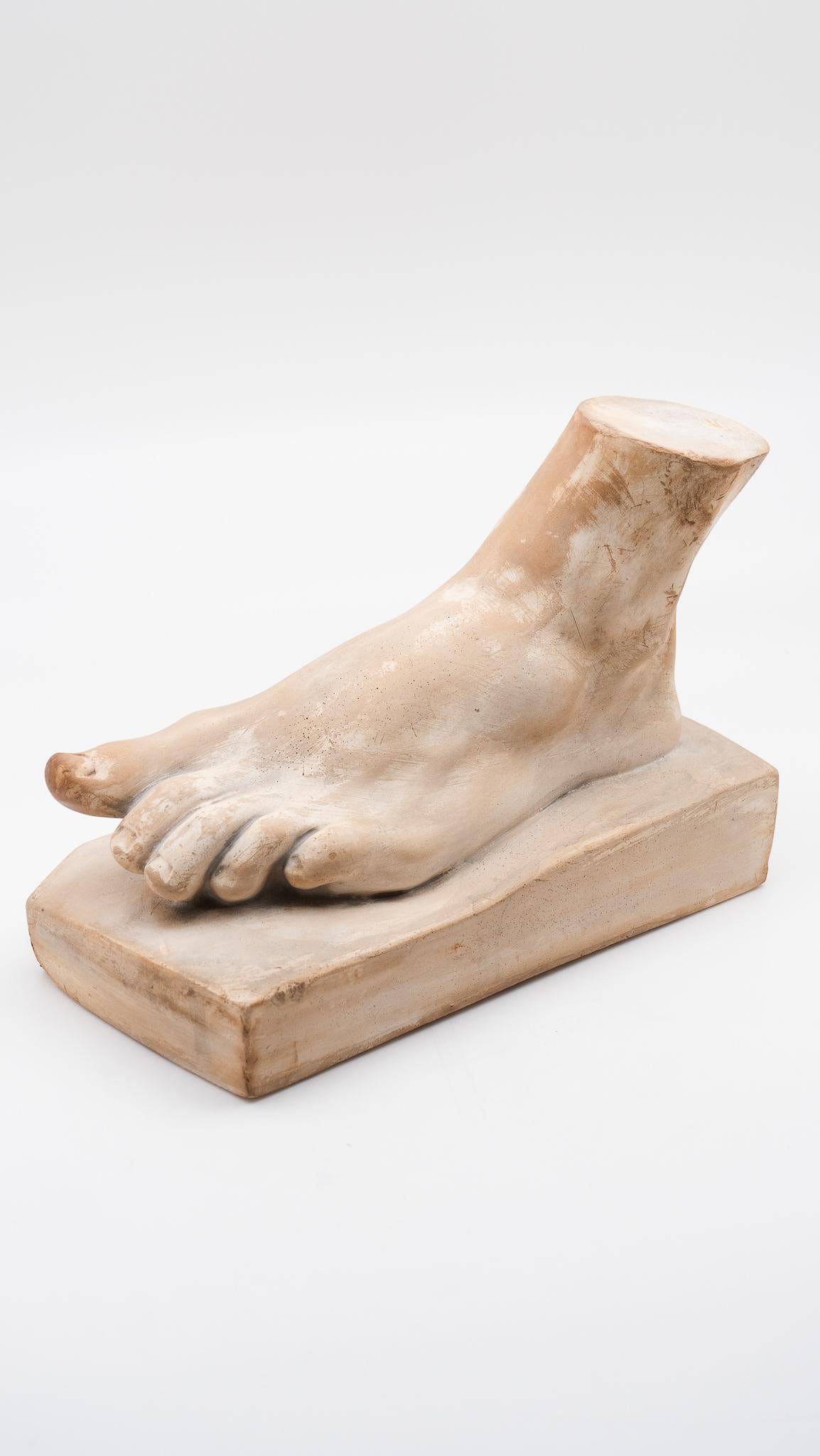 Plaster cast of Hercules' foot by P. P. Caproni, Boston. Between 1892 and 1952, the leading supplier for high-quality plaster casts was P.P. Caproni and Brother in Boston, MA.