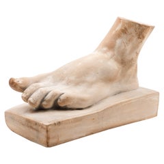 Foot of Hercules Plaster Cast by P. P. Caproni