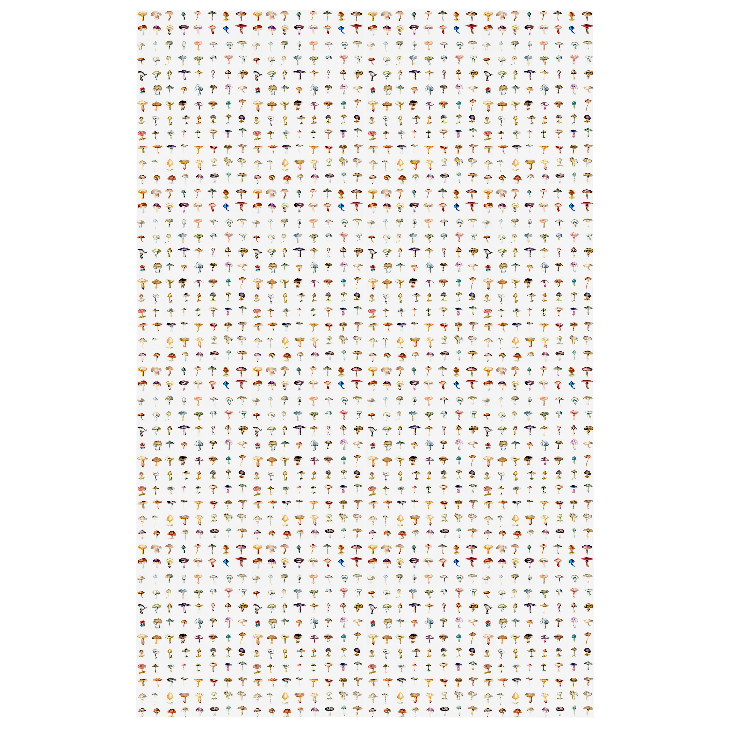Forager Wallpaper by 17 Patterns For Sale